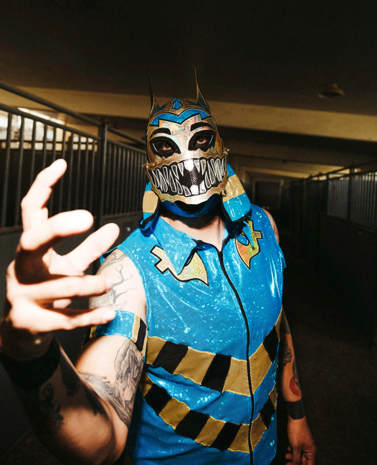 Portrait of Anubis. Photo: Peter Vo, Rocky Mountain PBS