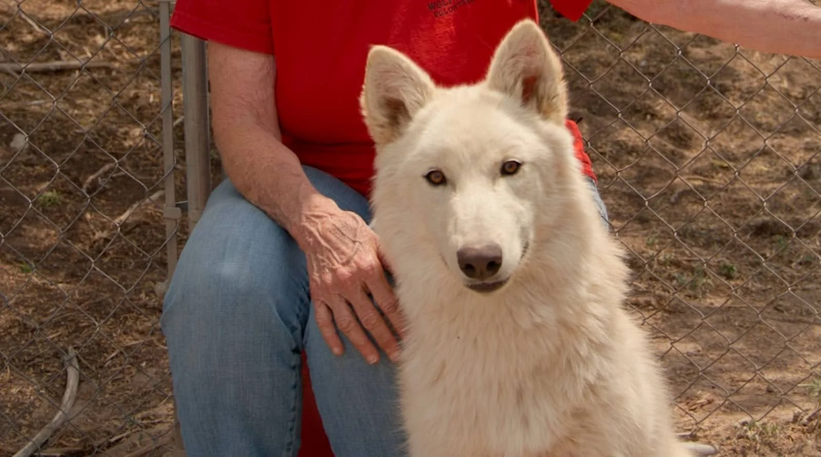 Nanuk. Photo: Ziyi Xu, Rocky Mountain PBS