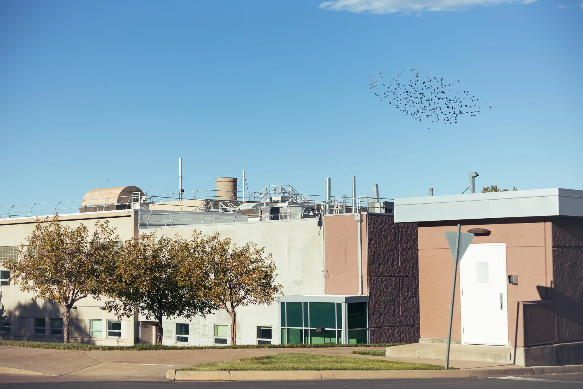 NIST. Photo: Cormac McCrimmon, Rocky Mountain PBS