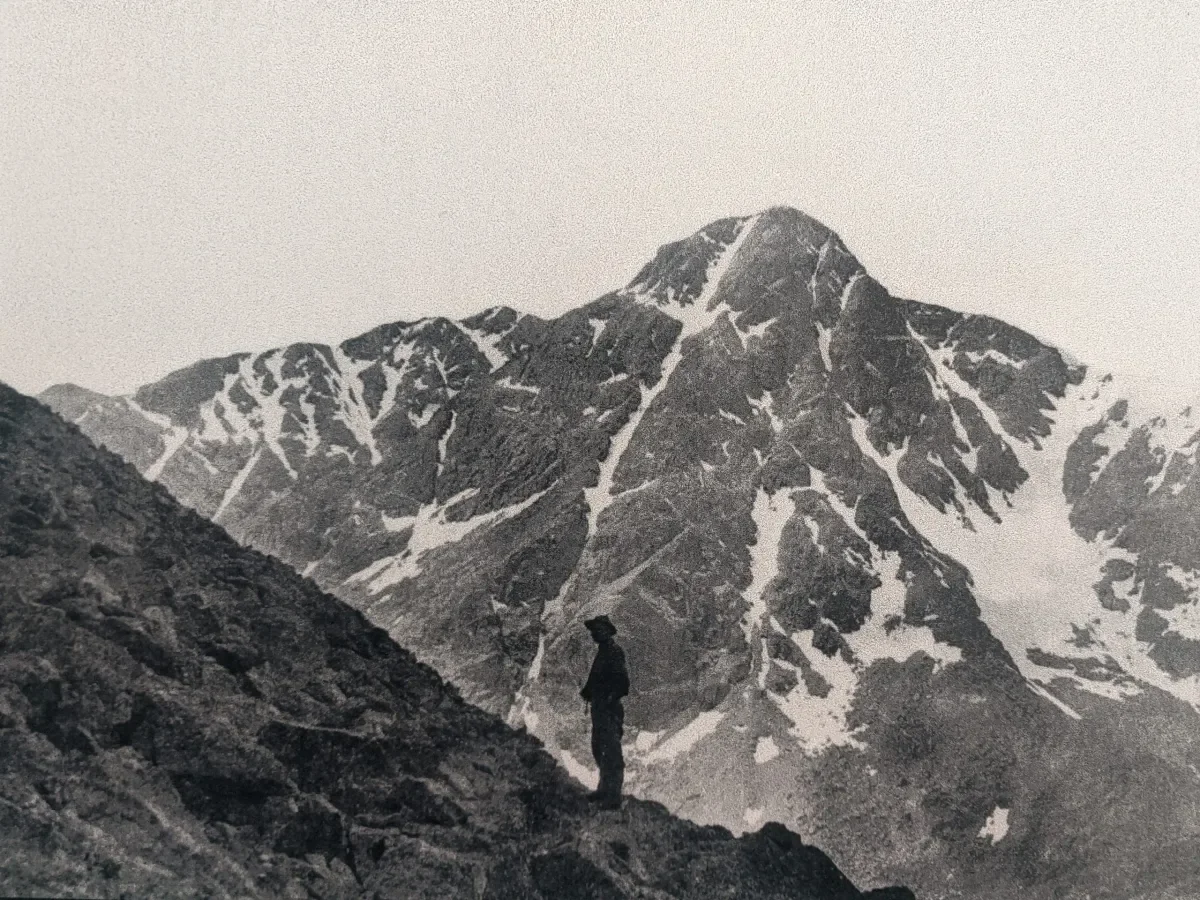 Q&A: A public lands advocate on Trump’s ‘reorganization’ of the Forest Service