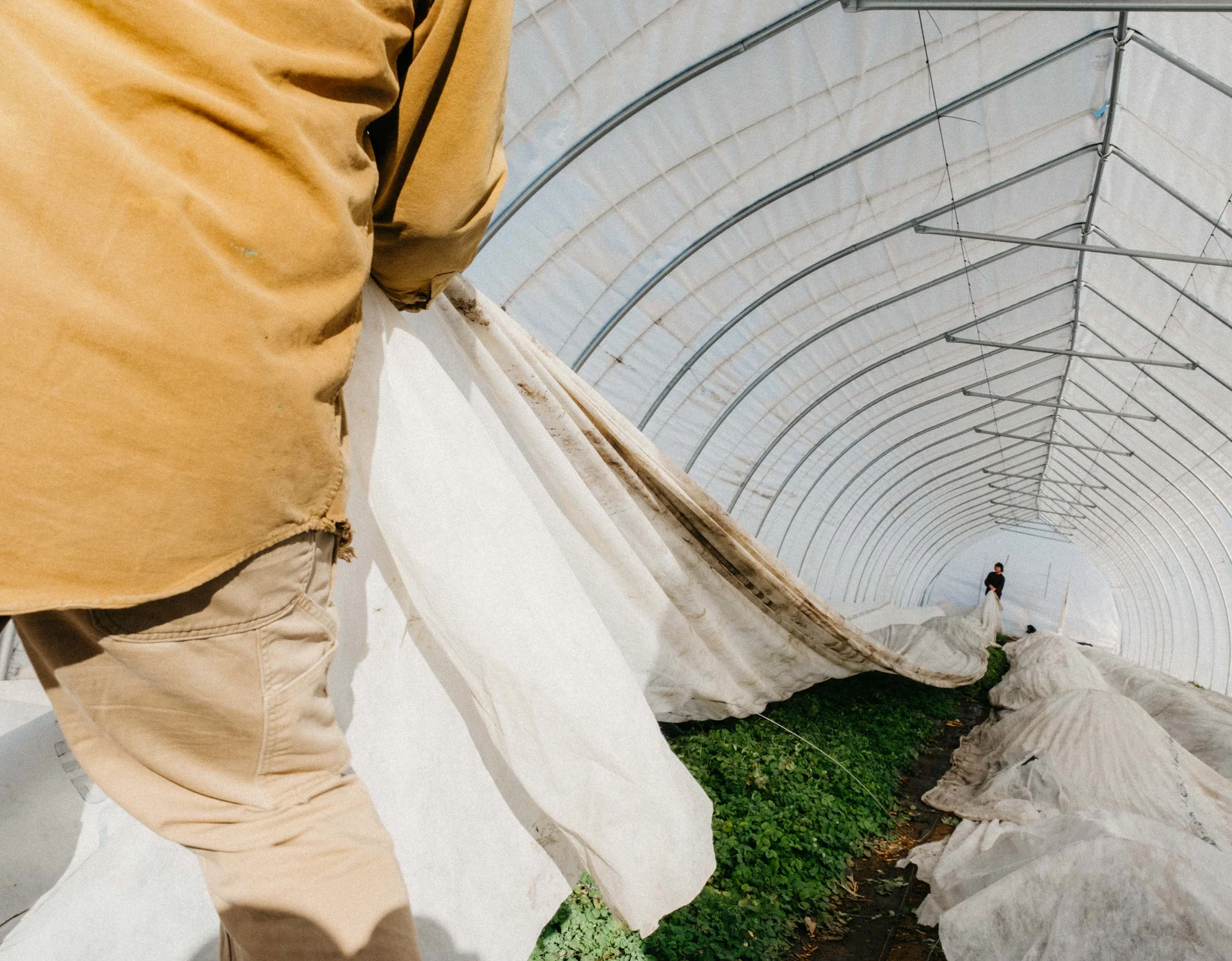 When the weather is cold, the farmers put blankets over the vegetation to retain the heat that they get from the sun when they aren’t covered. Photo: Peter Vo, Rocky Mountain PBS