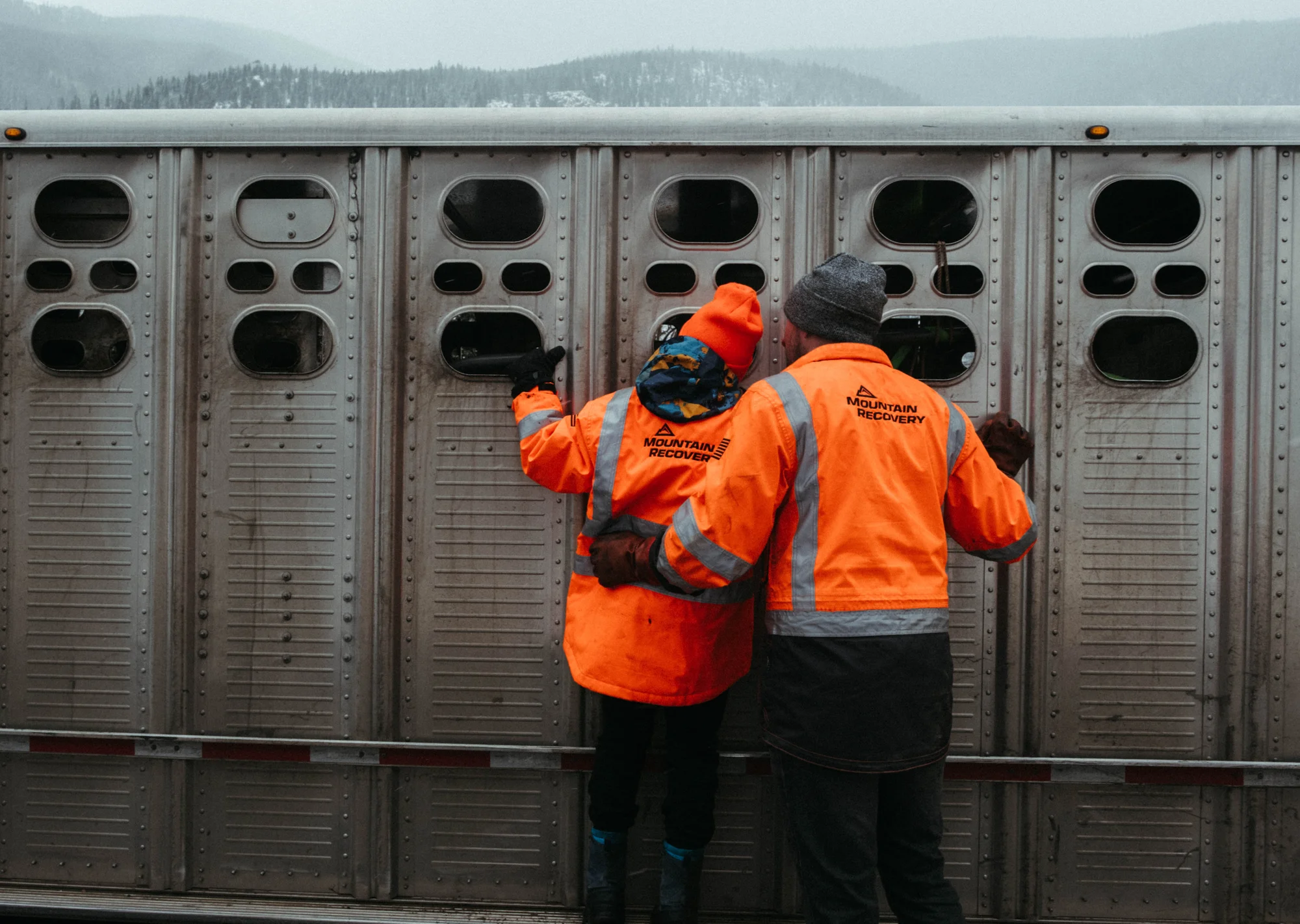 Stubblefield and his son, Calvin, look at livestock in the horse trailer. Photo: Peter Vo, Rocky Mountain PBS