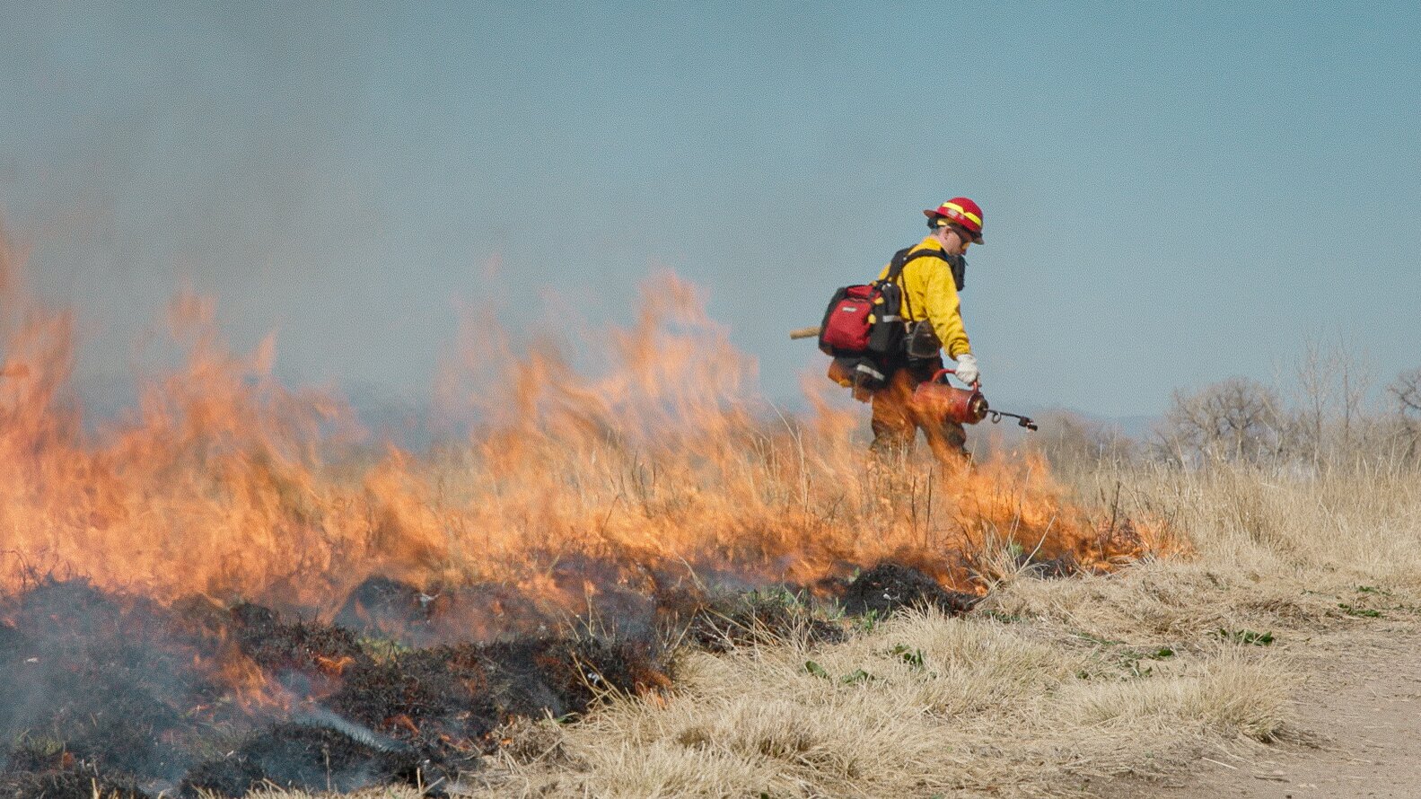 After decades of fire suppression, experts eye prescribed burns | Rocky ...
