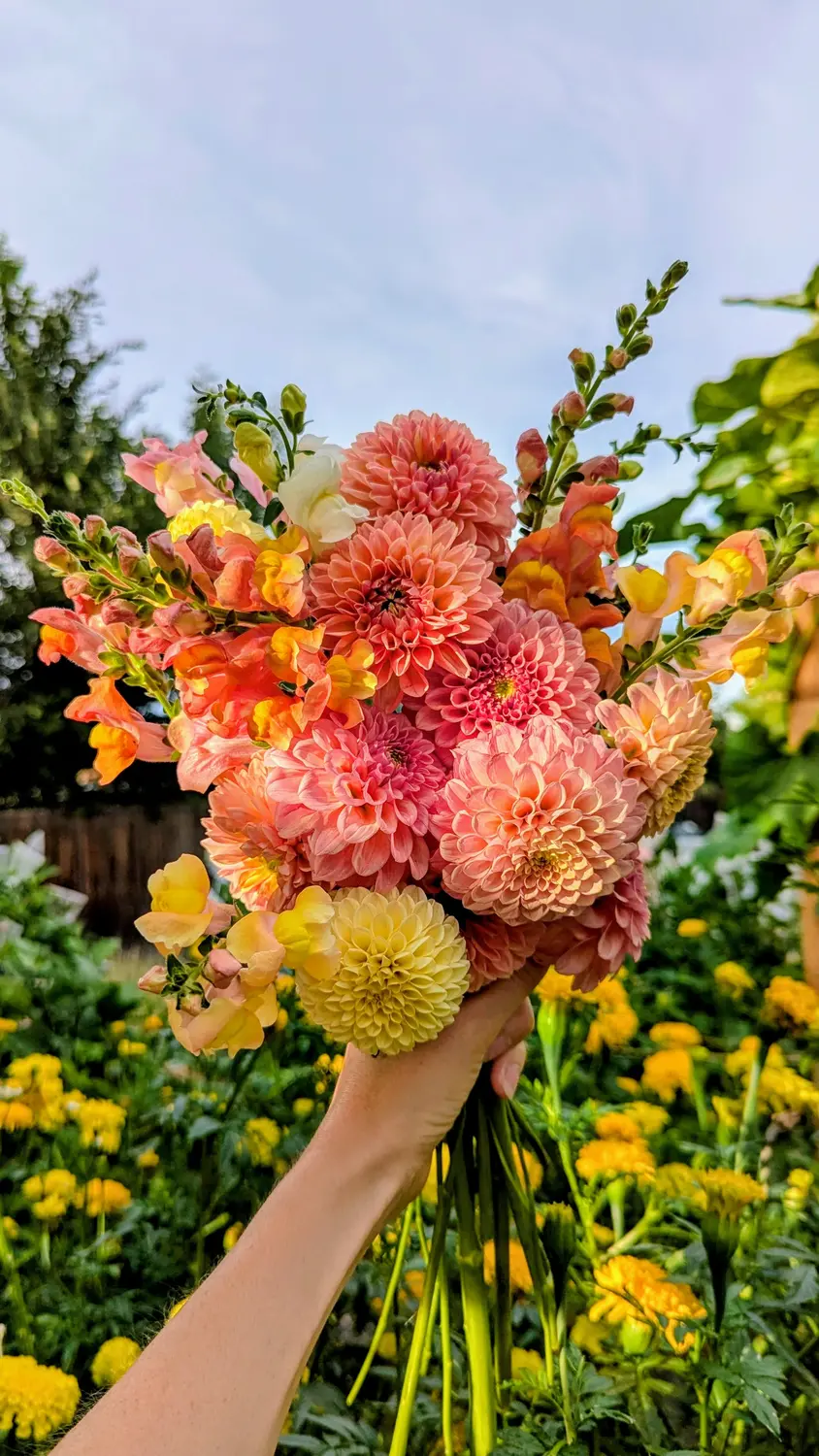 Photos courtesy Kaeli Barrett