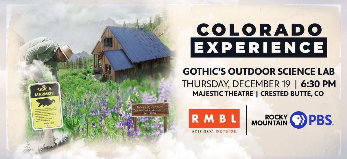 A poster for Colorado Experience: Gothic event