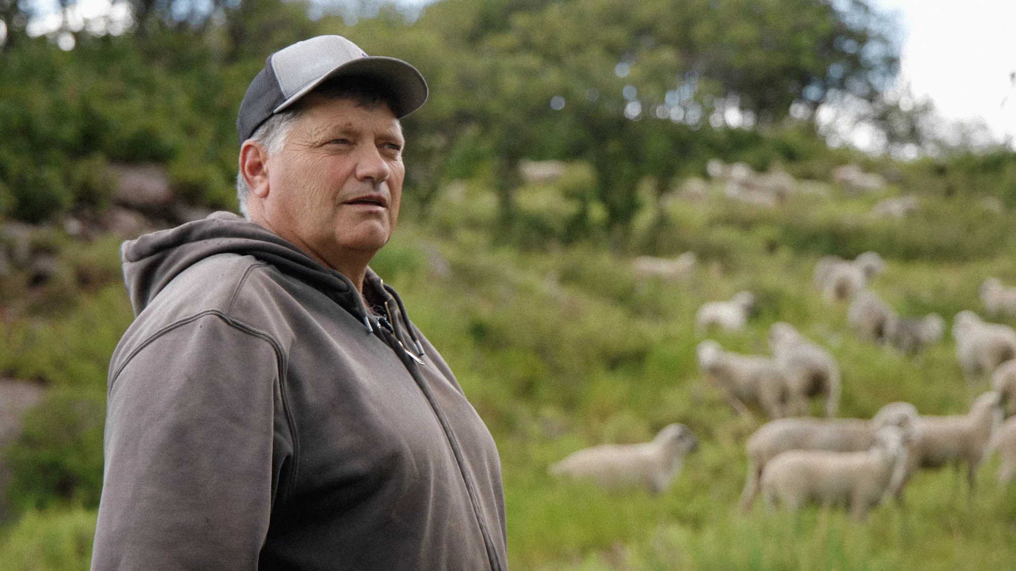 Ernie Etchart is a second generation sheep rancher based in Montrose. In 2023, he made national headlines for a deal with the National Wildlife Federation to waive grazing allotments in an area with bighorn sheep conflicts. Photo: Andrea Kramar, Rocky Mountain PBS