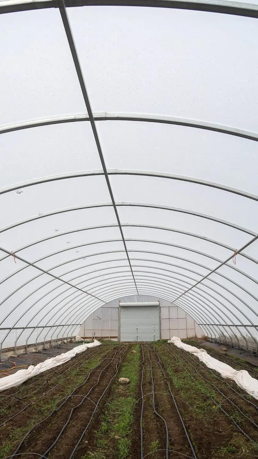 Photos: Ziyi Xu, Rocky Mountain PBS