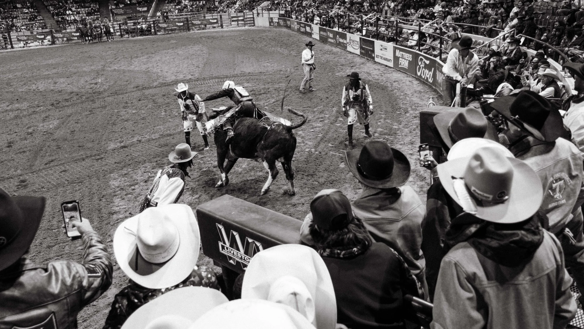 People in the stadium watch as a cowboy bull rides. Photo: Peter Vo, Rocky Mountain PBS