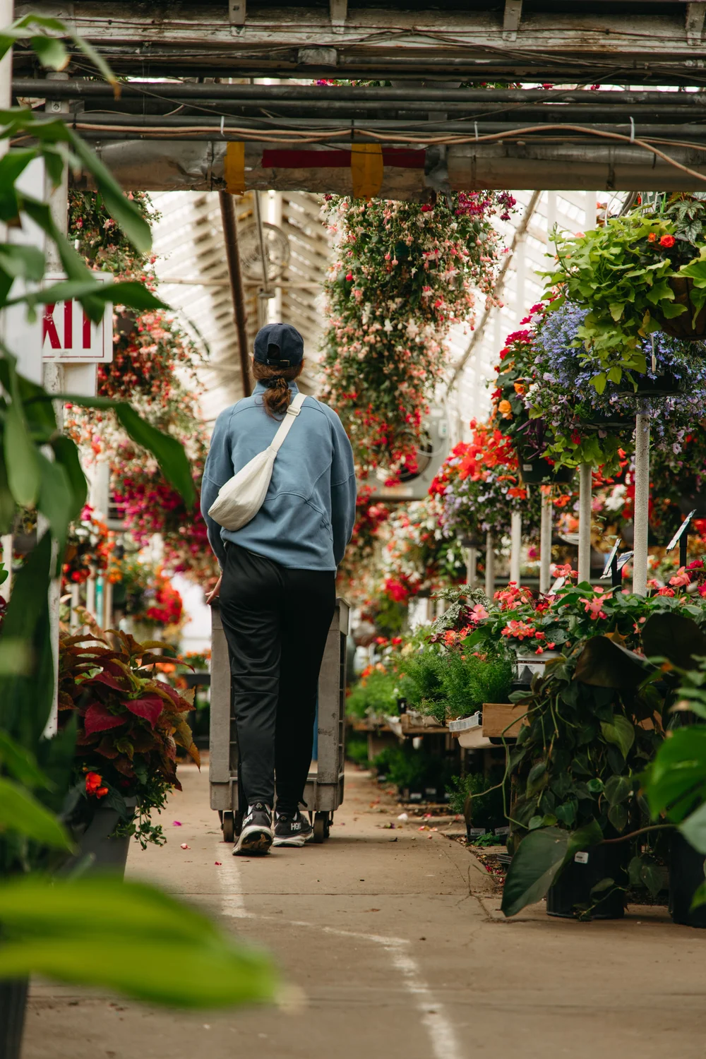 More than a century later, business is blooming at City Floral | Rocky  Mountain PBS