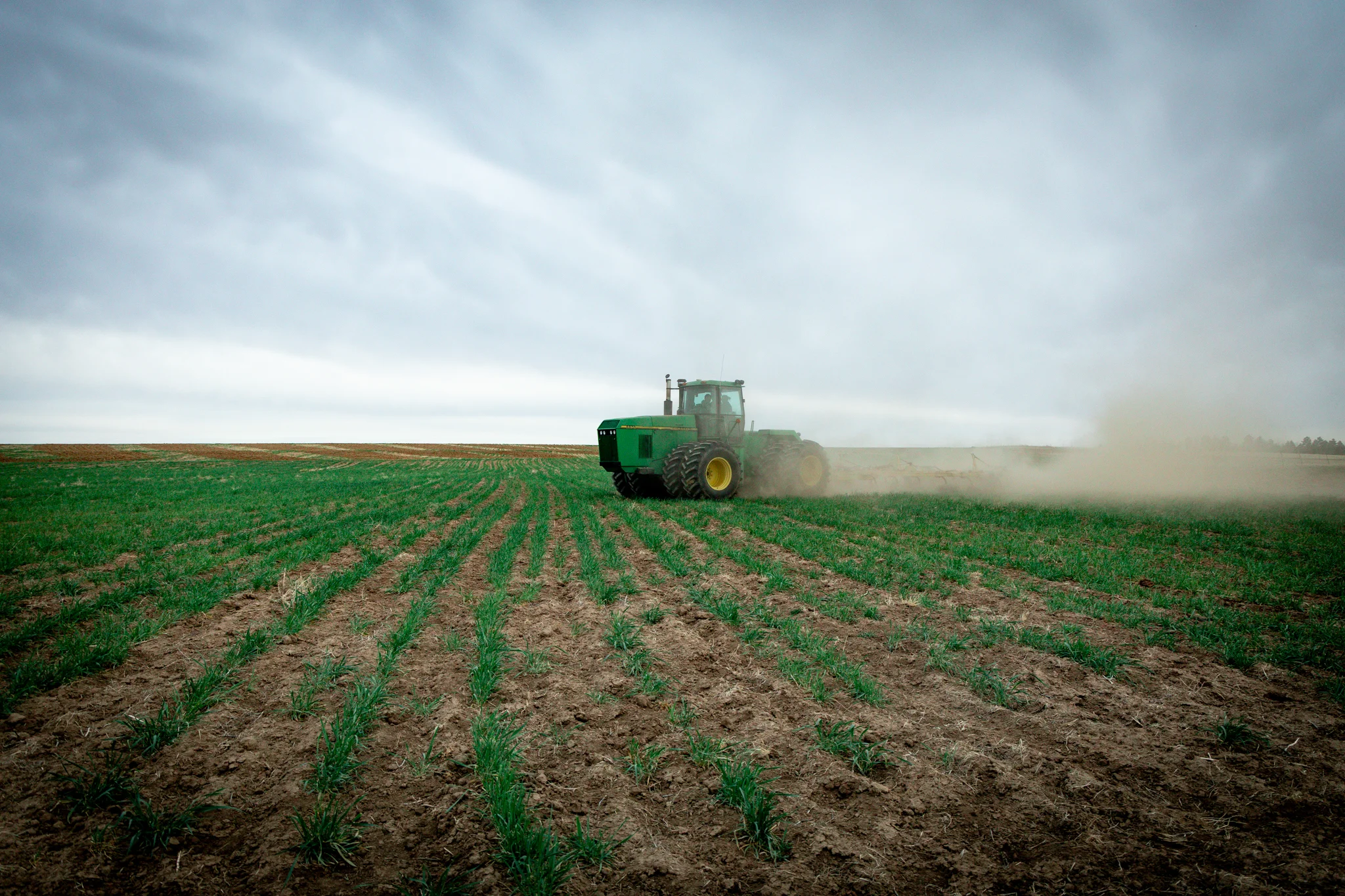 Kevin Poss chisels his crops using a tractor, helping improve soil conditions and retain moisture. Photo: Priya Shahi, Rocky Mountain PBS