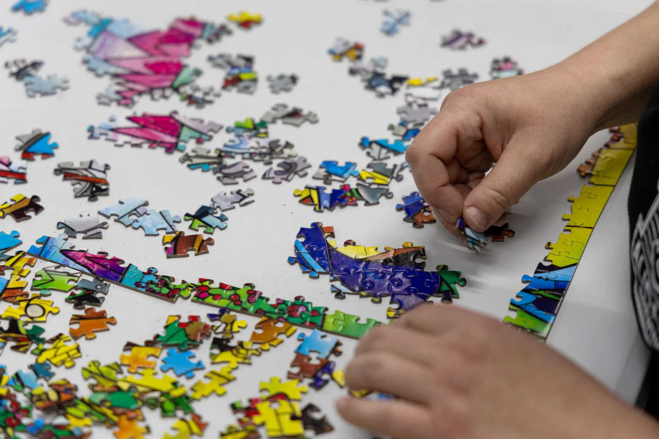 Speed puzzling had a resurgence after the COVID-19 pandemic, and the sport is growing in Colorado. Photo: Carly Rose, Rocky Mountain PBS