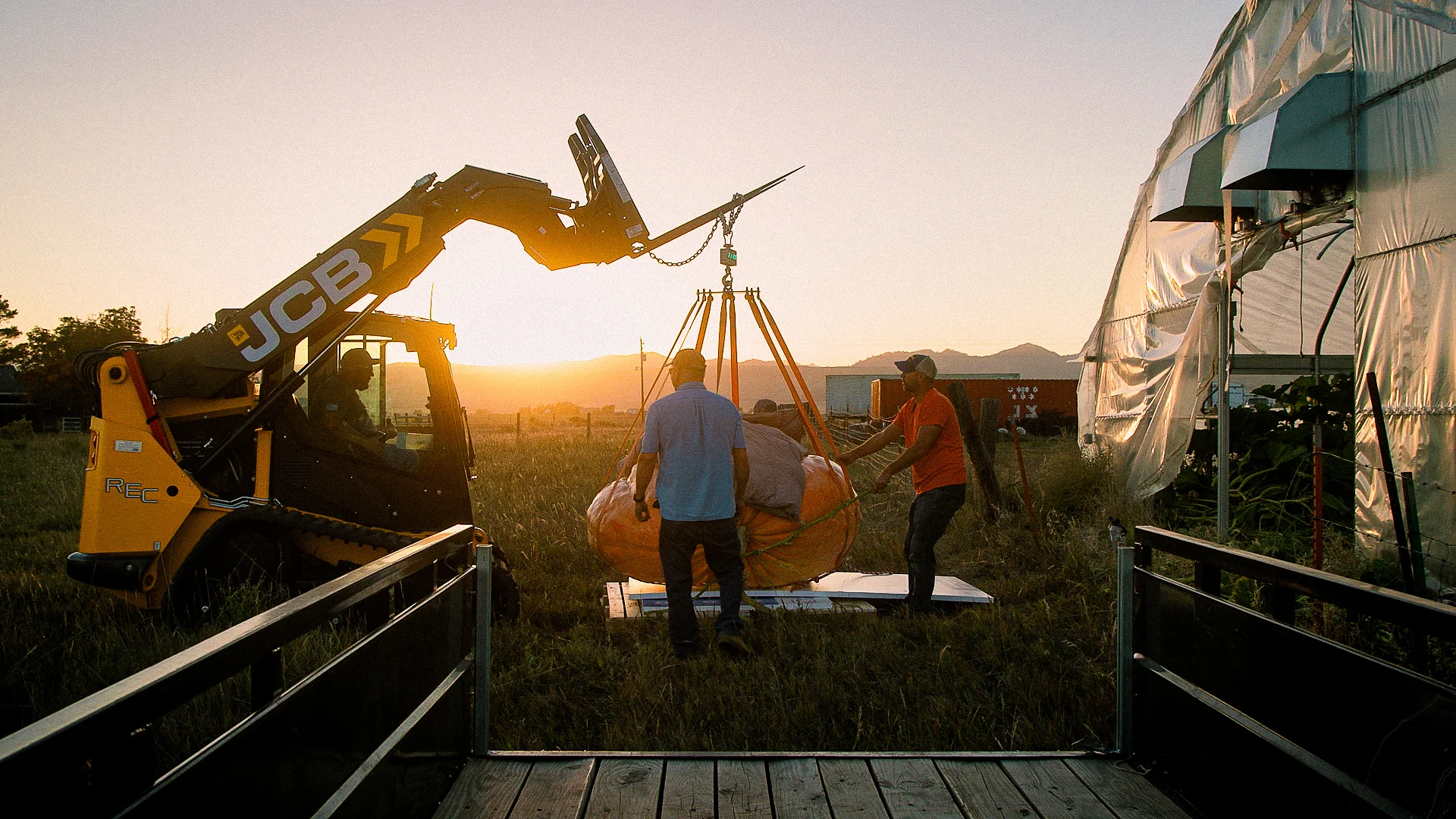 As the sun dipped behind the mountains, Bledsoe’s friend arrived with a skid-steer to extract the pumpkin from the greenhouse. Photo: Cormac McCrimmon, Rocky Mountain PBS