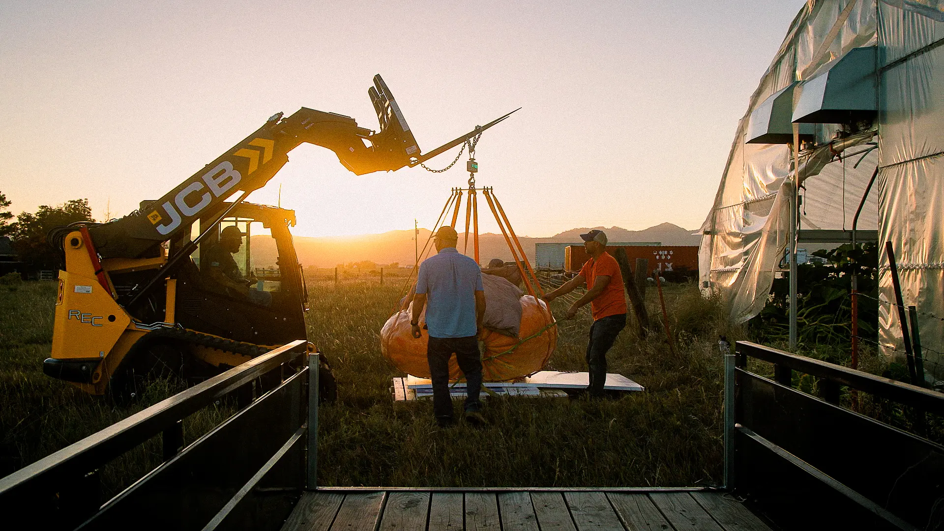 As the sun dipped behind the mountains, Bledsoe’s friend arrived with a skid-steer to extract the pumpkin from the greenhouse. Photo: Cormac McCrimmon, Rocky Mountain PBS