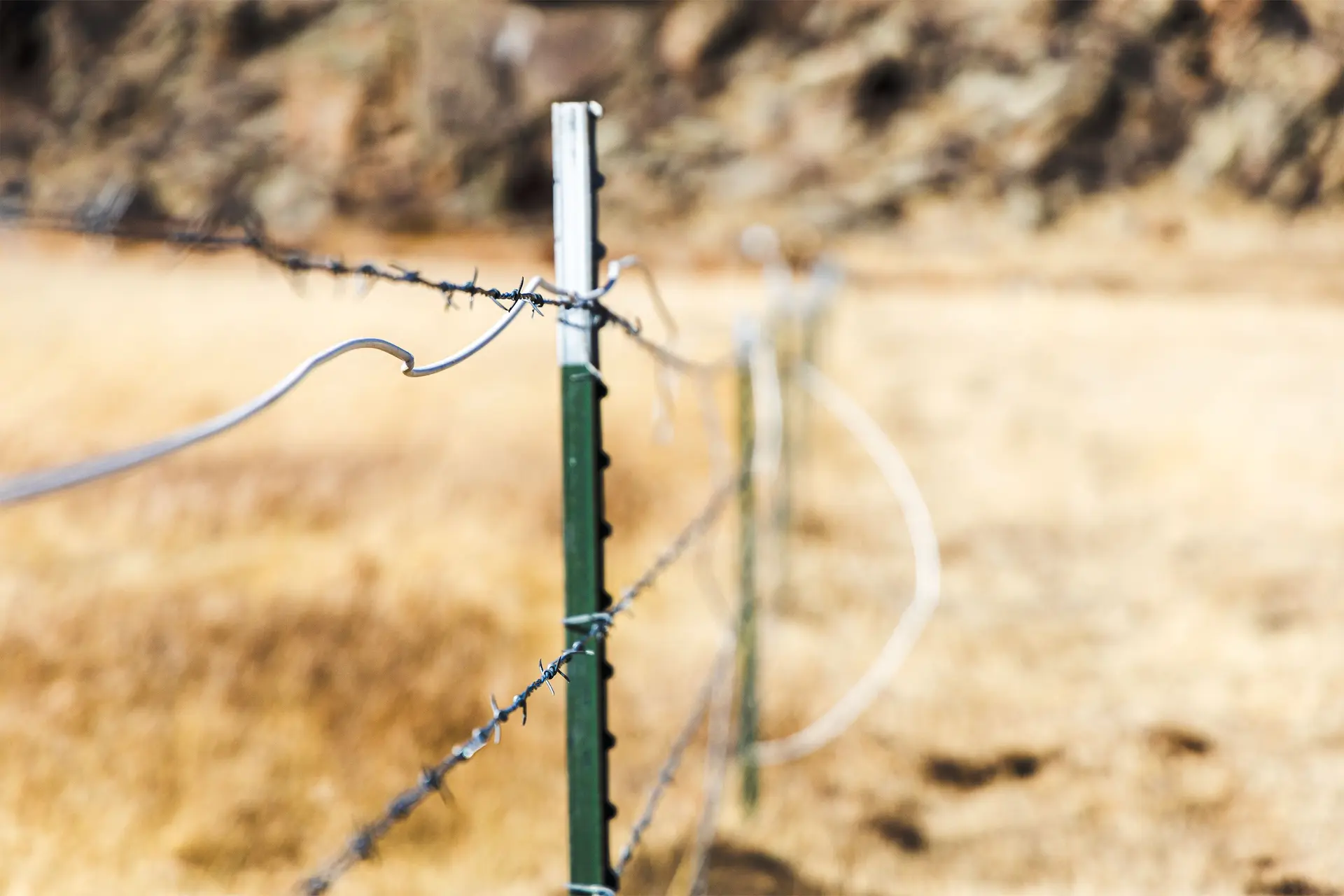 Michalski fixes some “high-vis” fencing, which shows passing elk how high they need to jump to clear the fence.