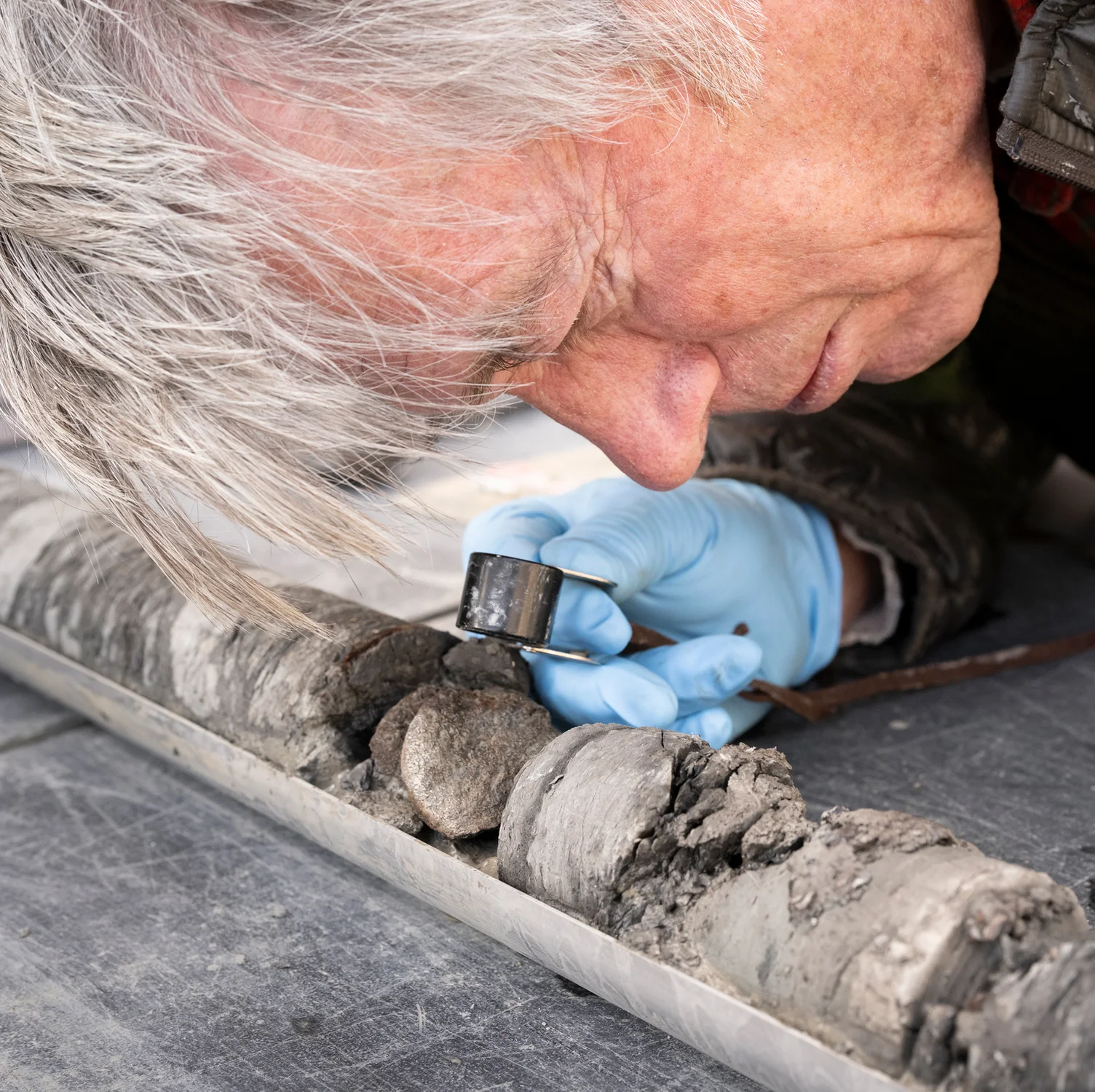 Bob Raynolds examines the dinosaur fossil. Photo courtesy Rick Wicker, DMNS