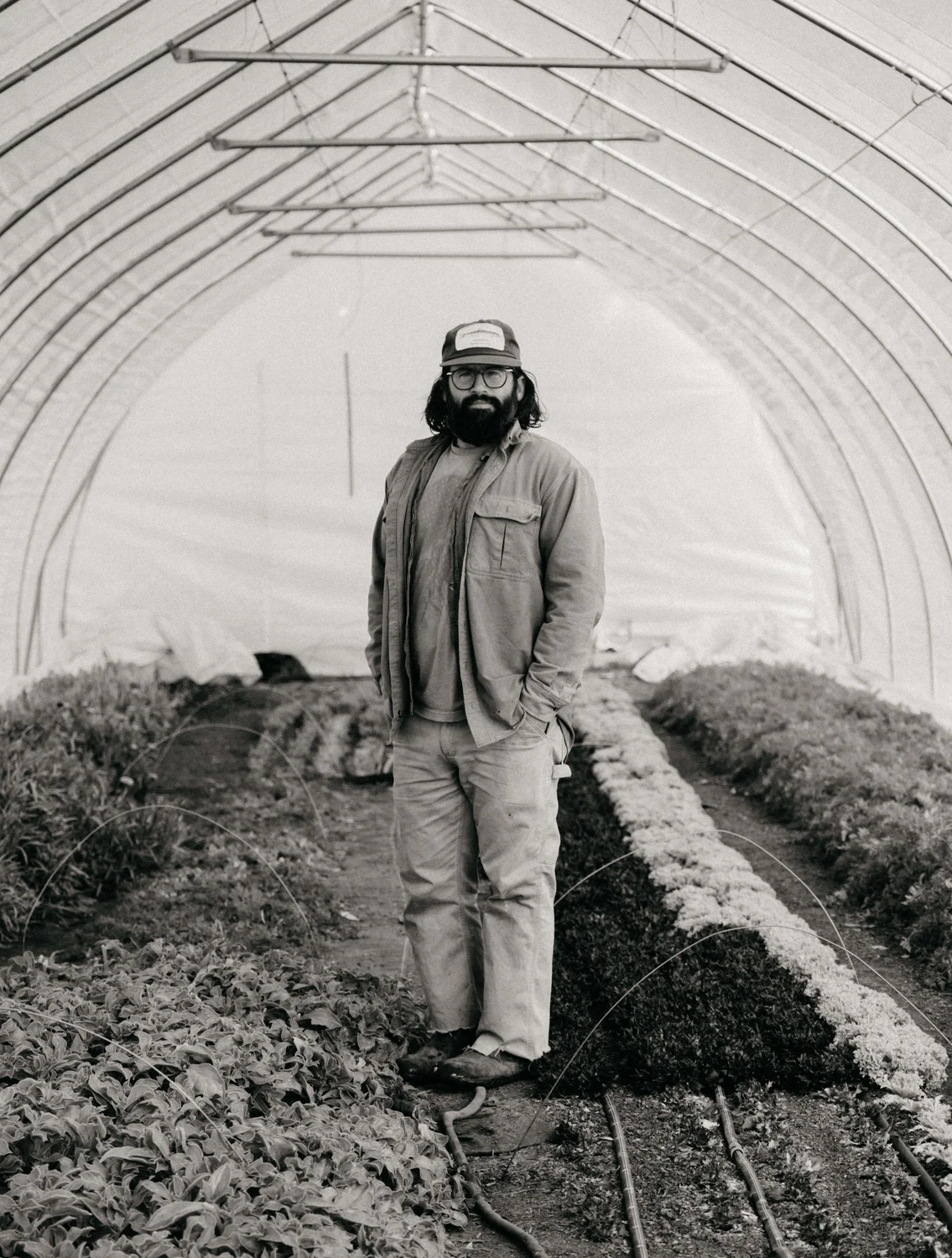 DeRespinis poses for a portrait among his produce. Photo: Peter Vo, Rocky Mountain PBS