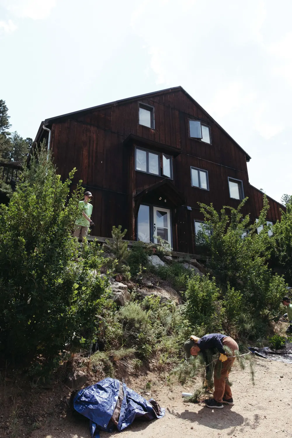 Members of the Youth Conservation Corps mitigate a home in Nederland. Photo: Peter Vo, Rocky Mountain PBS