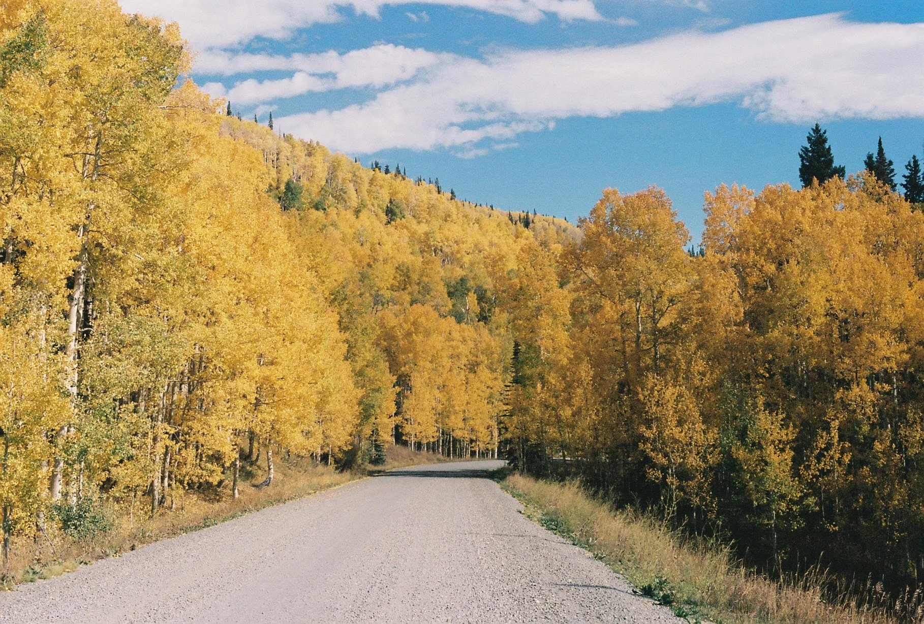 Rocky Mountain P B S