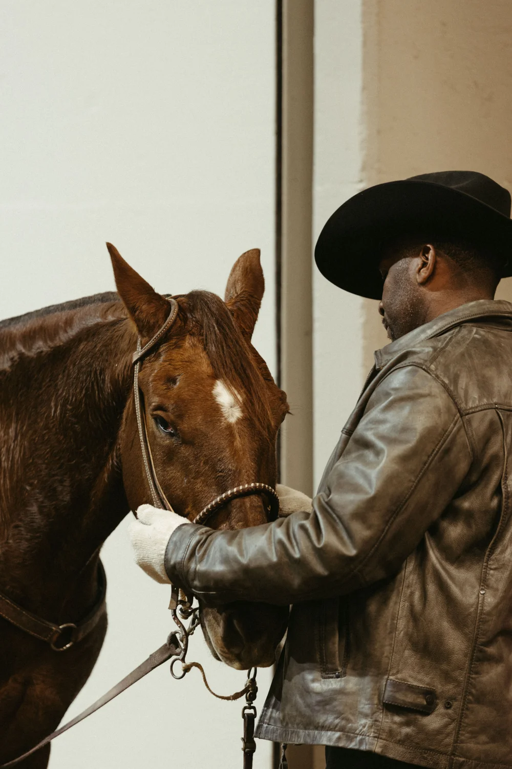 A cowboy grooms out his horse before entering the arena.