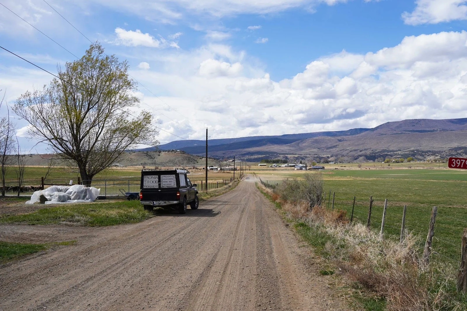 Peterson’s Tacoma, with a custom topper she built, on Green Tractor Road in the North Fork Valley. Photo: Joshua Vorse, Rocky Mountain PBS