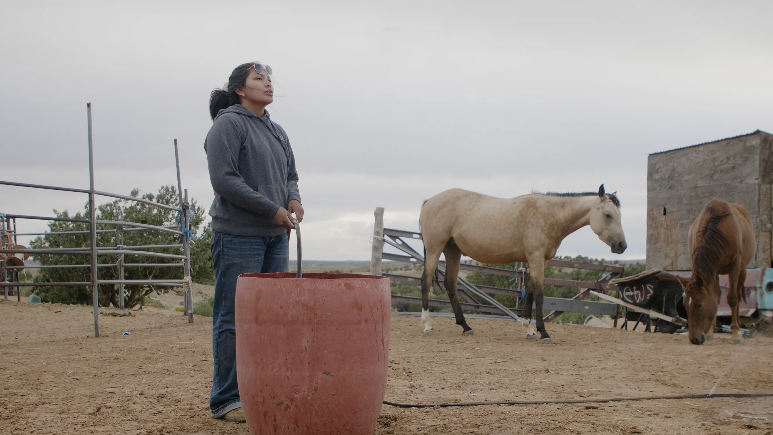 Kristal Puente attending horses, 2023. Photo: Ziyi Xu, Rocky Mountain PBS
