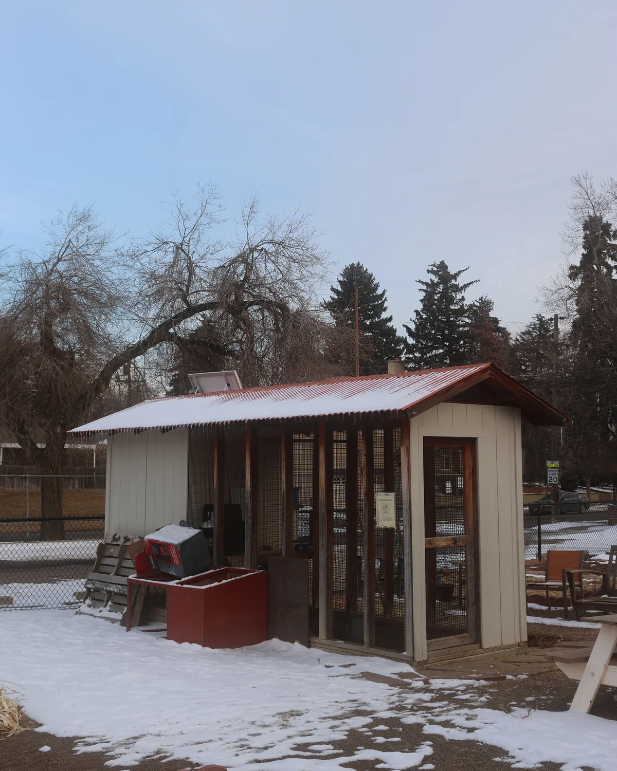 The Park Hill Chicken Co-Op has about 10 dedicated members, James Haug said. Photo: Kyle Cooke, Rocky Mountain PBS