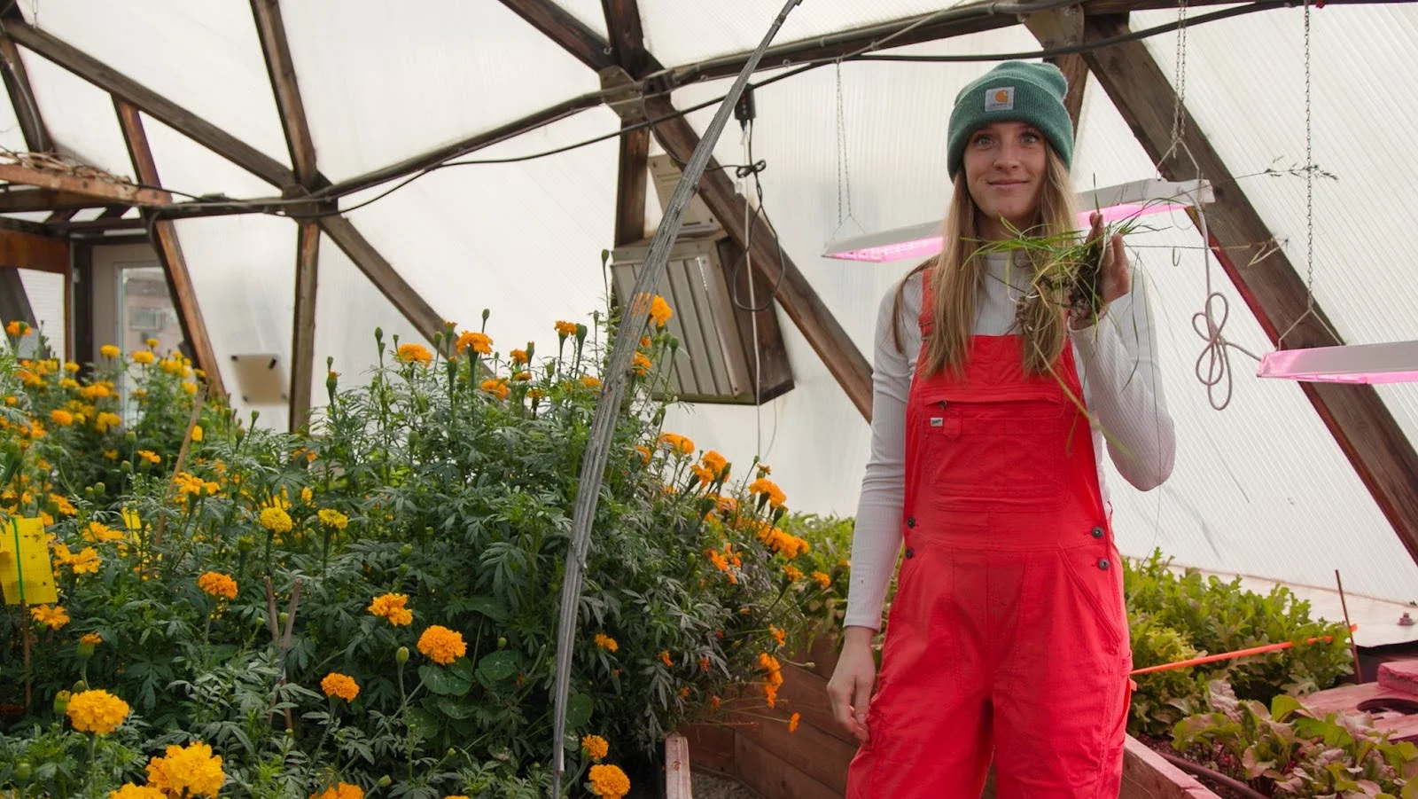 Savana Sullivan picking weeds. Photo: Ziyi Xu, Rocky Mountain PBS