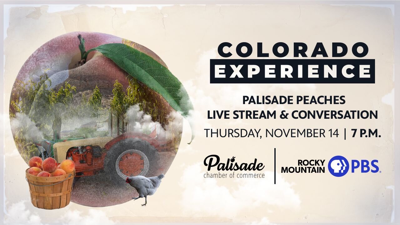 A poster for Colorado Experience: Palisade Peaches LIVE Stream & Conversation event