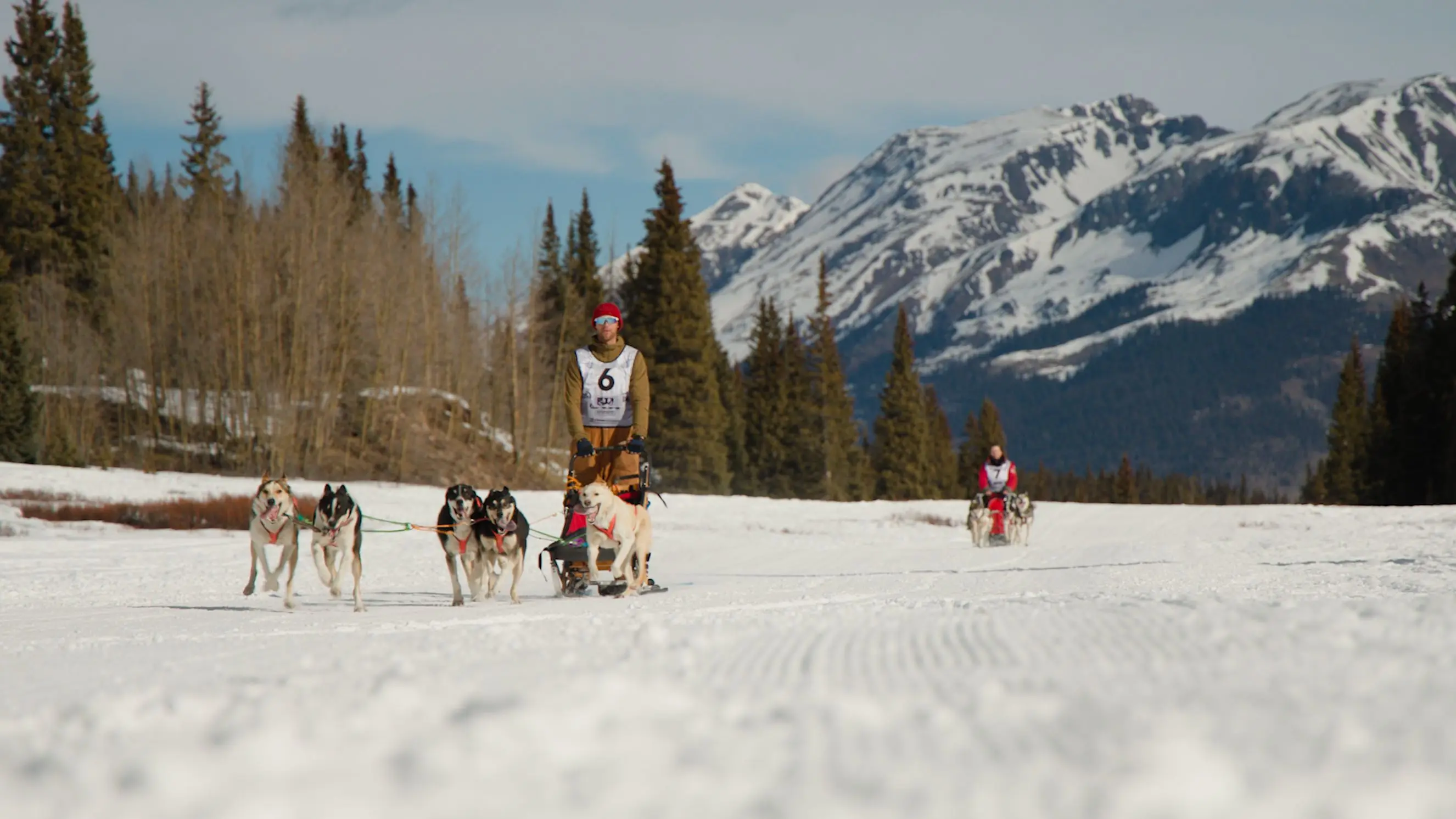 Scenes from the January sled dog competition at Molas Lake. Photo: Ziyi Xu, Rocky Mountain PBS