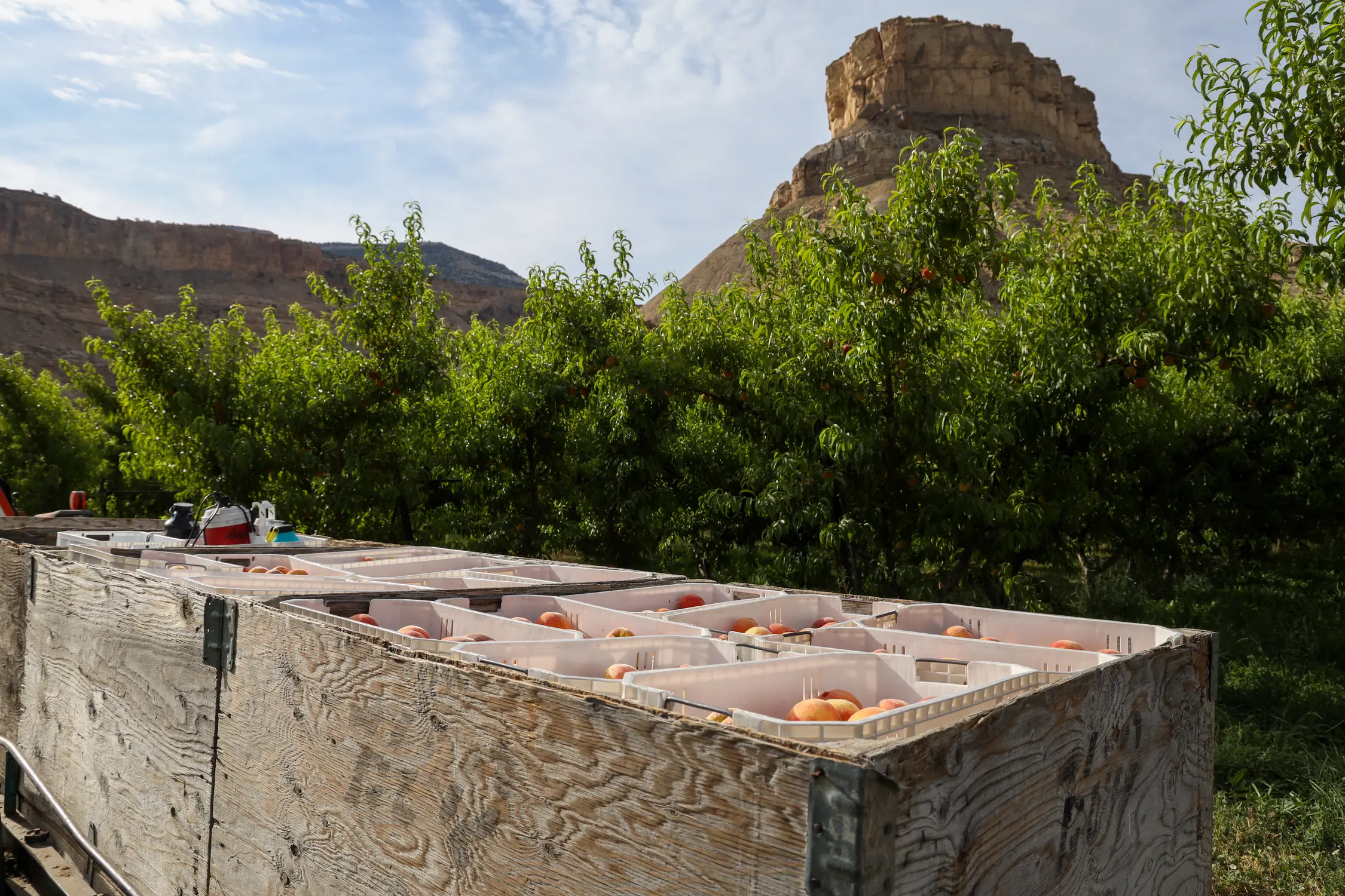 Photo: Joshua Vorse, Rocky Mountain PBS