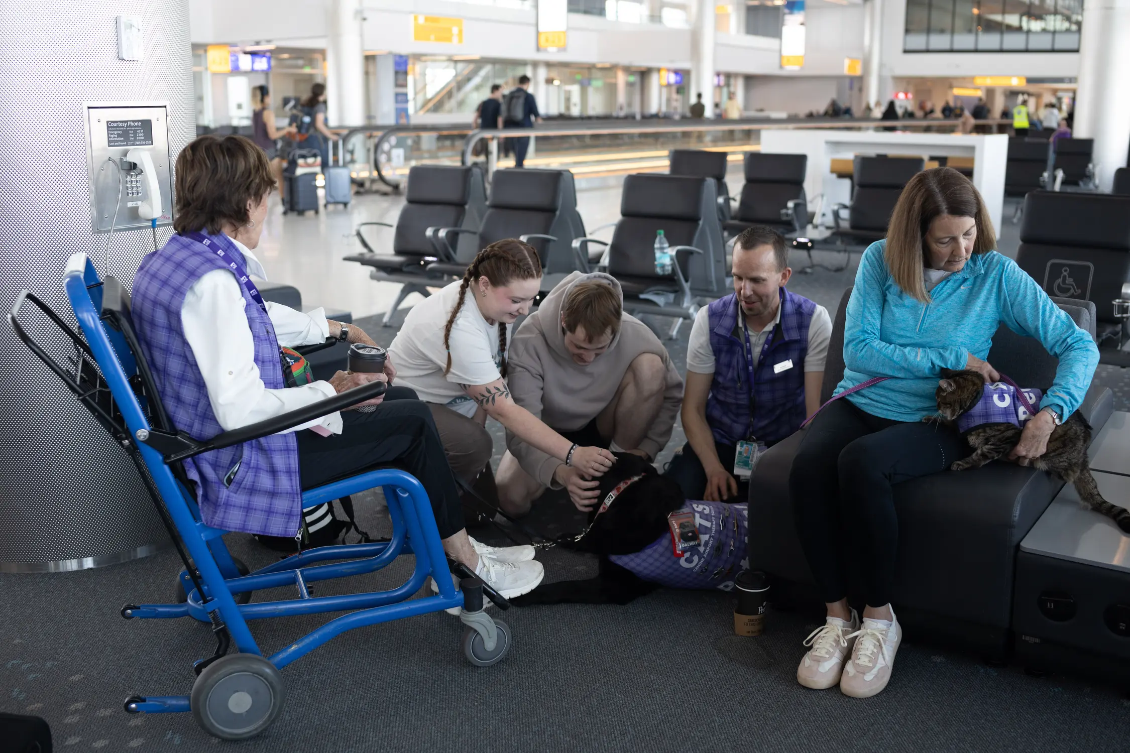Volunteers Sharon Benn and Nathan Pensack-Rinehart, accompanied by dog Galway and cat Xeli, chat with travelers Trinity Marden and Samuel Lee, who were headed to Switzerland. “It’s like a little slice of home right at the airport,” Lee said. Photo: Andrea Kramar, Rocky Mountain PBS