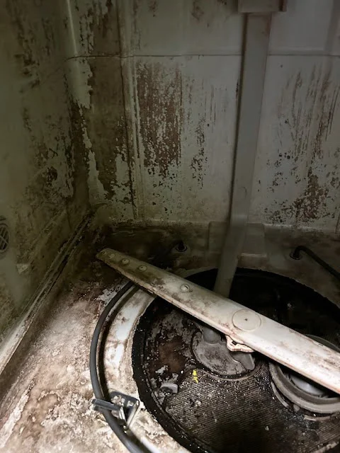 Places that alternate between wet and dry, like dishwashers, are good places to look for extremophiles in your home. Participatory scientist Susan S. submitted this observation to The Extremophile Campaign: In Your Home through CitSci.org. Photo courtesy Colorado State University/CitiSci