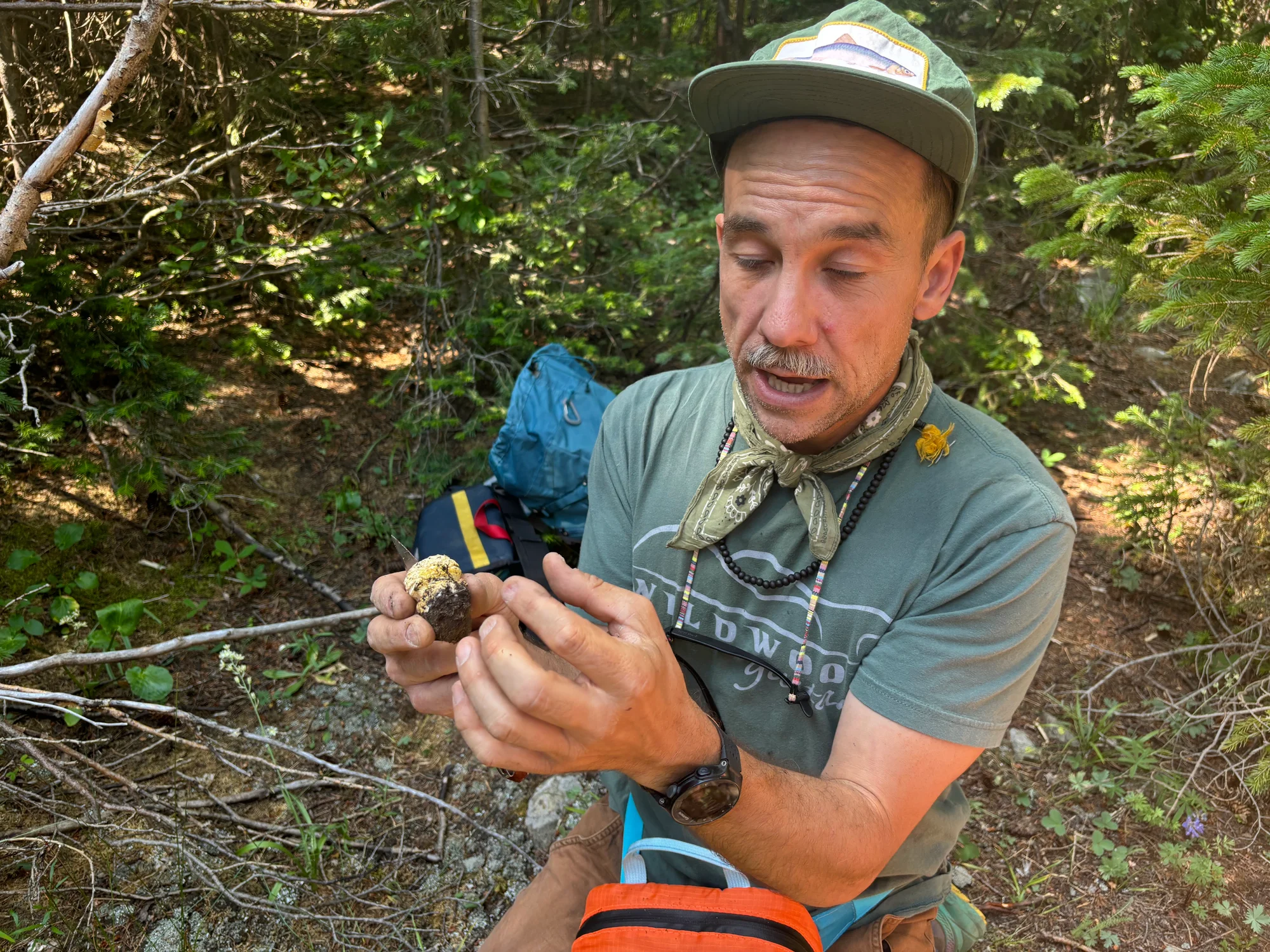 Mushroom forage guide Michael Heim cuts open an unidentified mushroom. Photo: Alec Berg, Rocky Mountain PBS