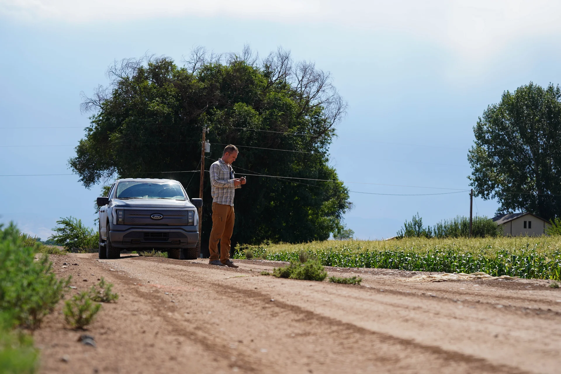 Hopping out of his electric F-150, Fishering samples a few ears of corn to see if they’re perfectly ripe yet. Photo: Joshua Vorse, Rocky Mountain PBS
