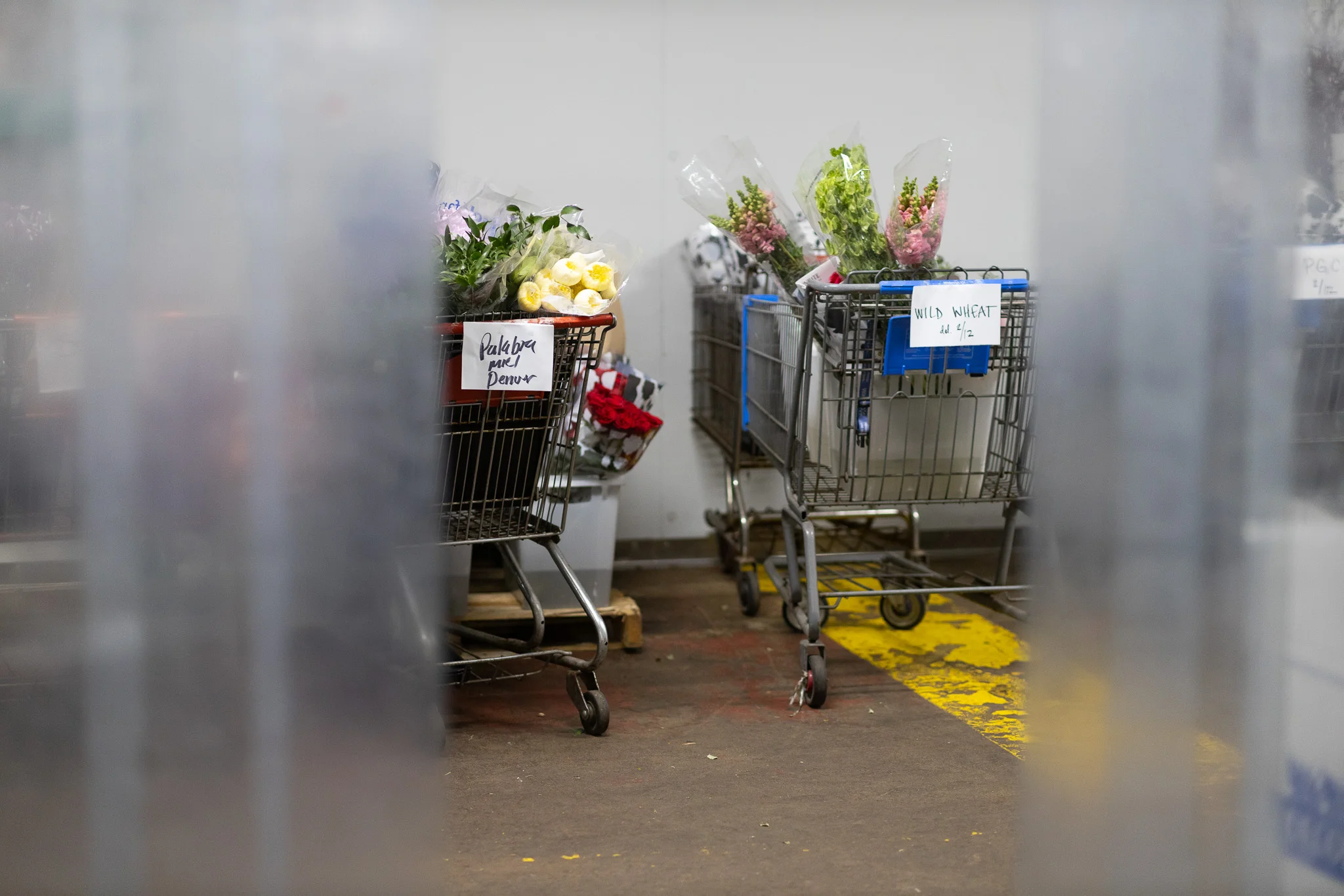 Flower orders await pickup. Photo: Cormac McCrimmon, Rocky Mountain PBS