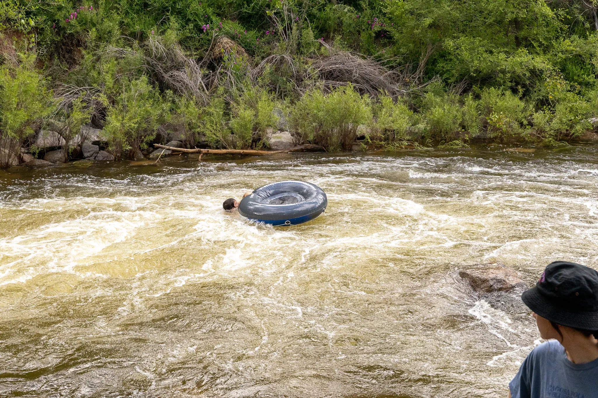 A swimmer clings to his tube after getting pummeled by a rapid on Boulder Creek.