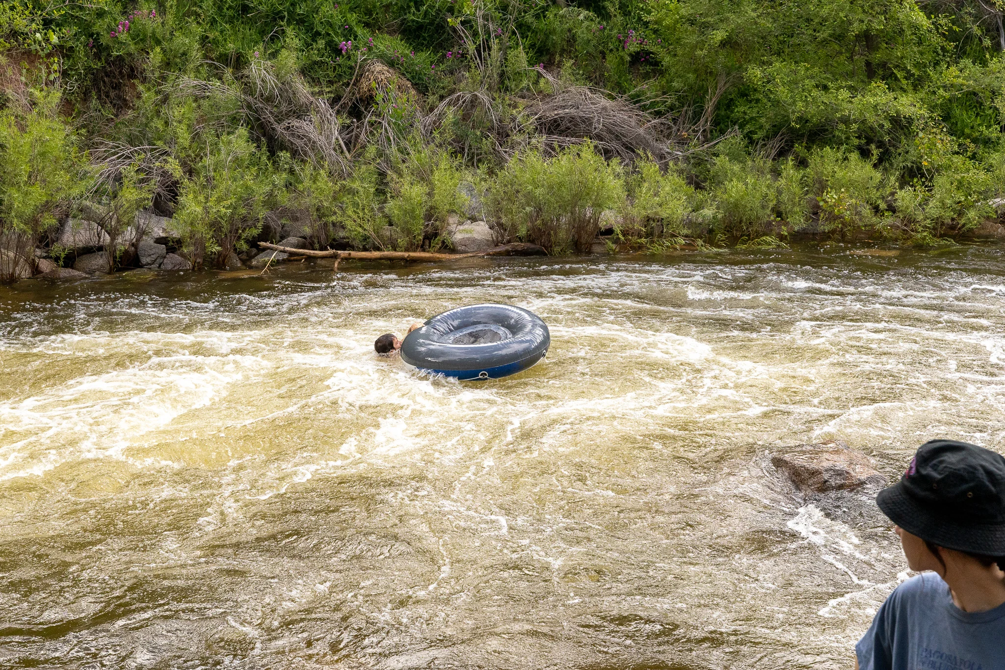 A swimmer clings to his tube after getting pummeled by a rapid on Boulder Creek.