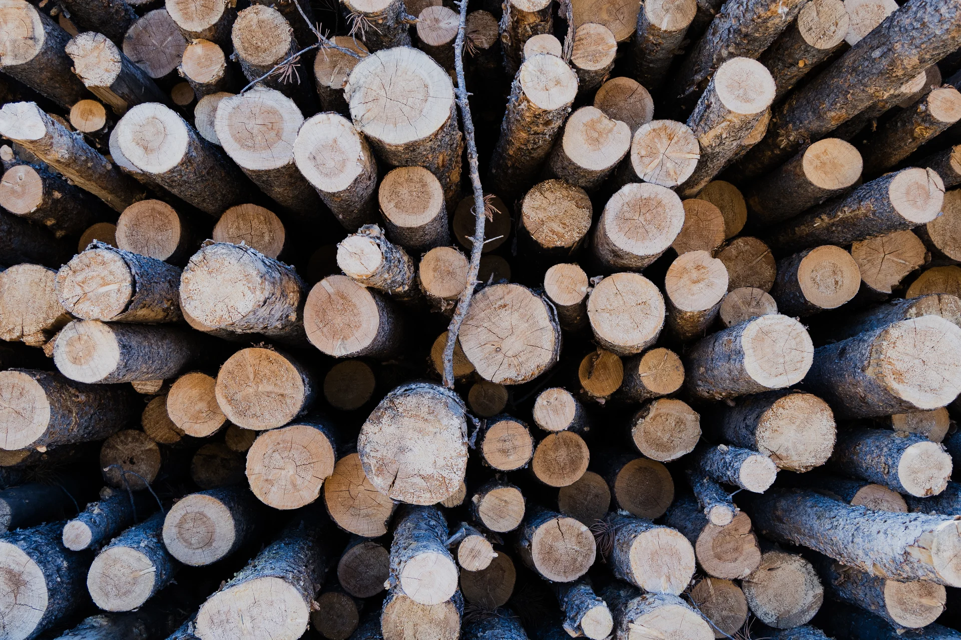 Photo: Cormac McCrimmon, Rocky Mountain PBS