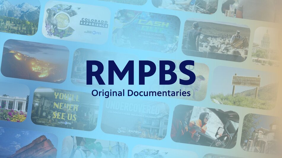 Sheared: Challenges Facing Colorado's Sheep Industry