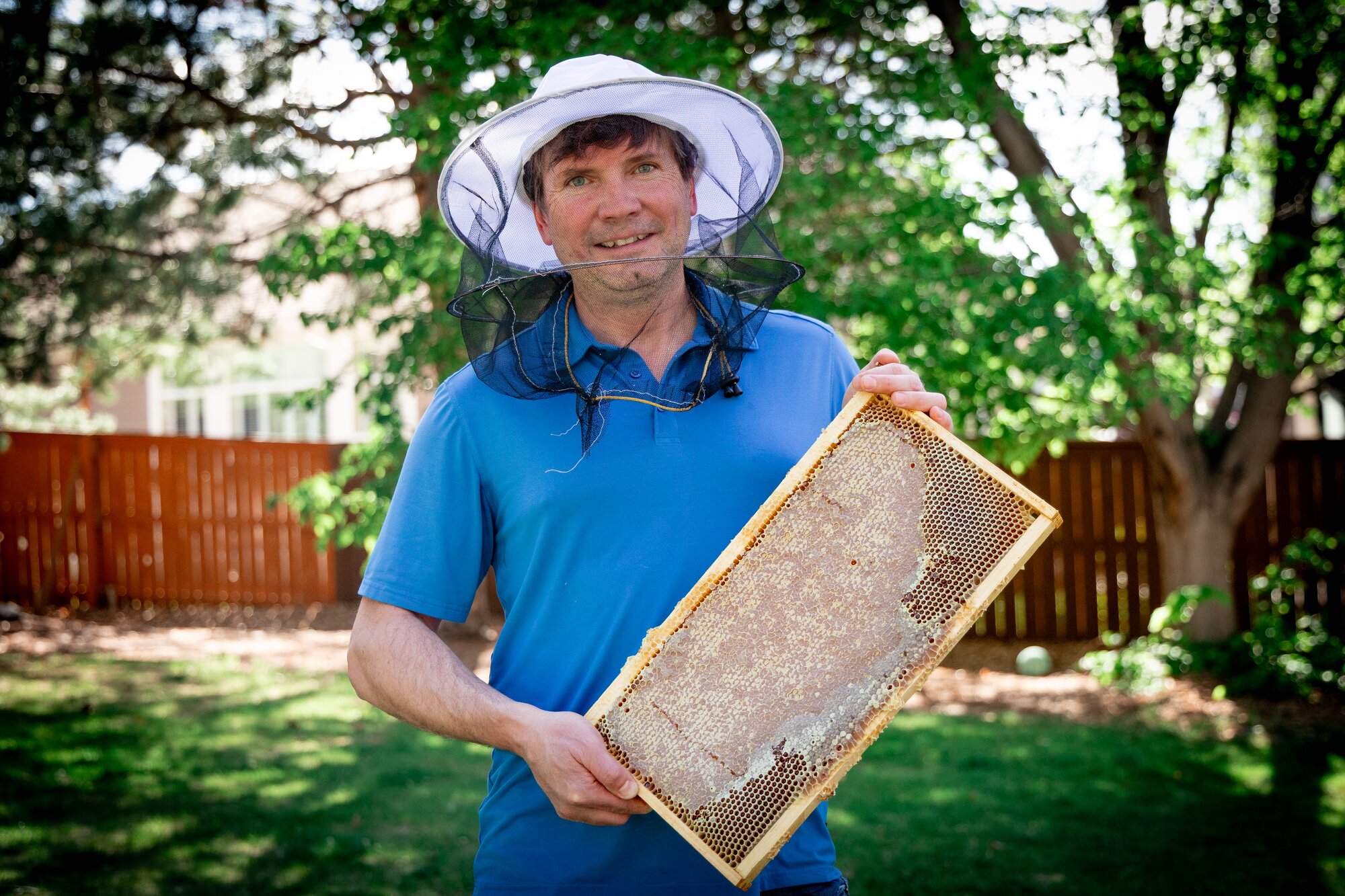 How Colorado's drought is impacting honeybees and honey production