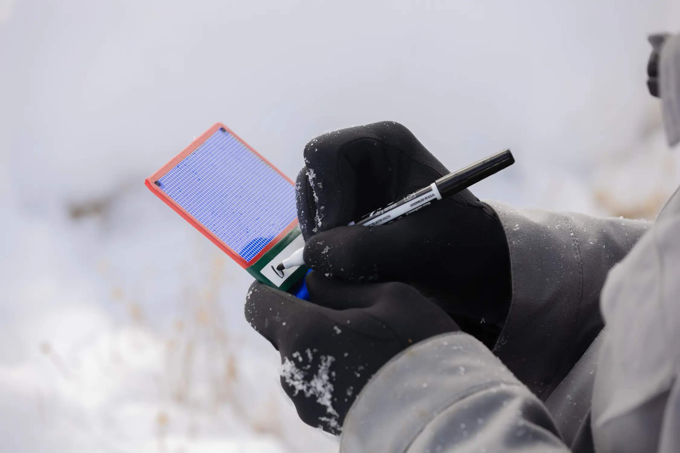 Last year, Shaedig collected more than 2,000 samples. He hopes to expand his public database this year. Photo: Cormac McCrimmon, Rocky Mountain PBS