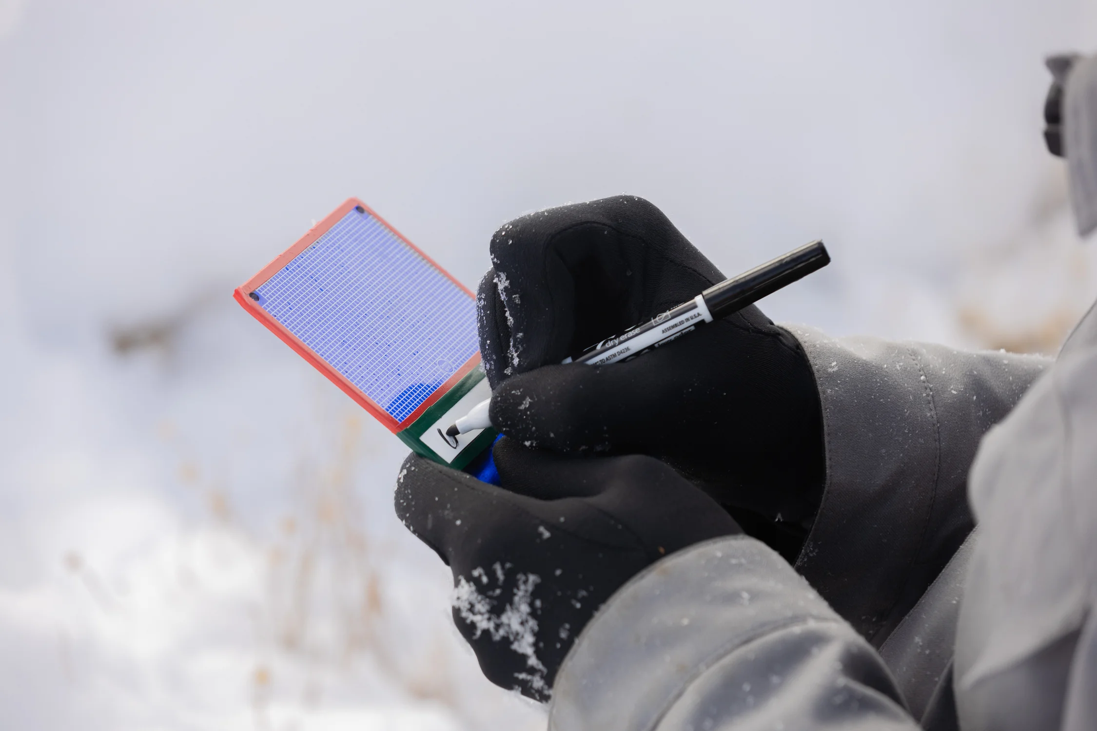 Last year, Shaedig collected more than 2,000 samples. He hopes to expand his public database this year. Photo: Cormac McCrimmon, Rocky Mountain PBS