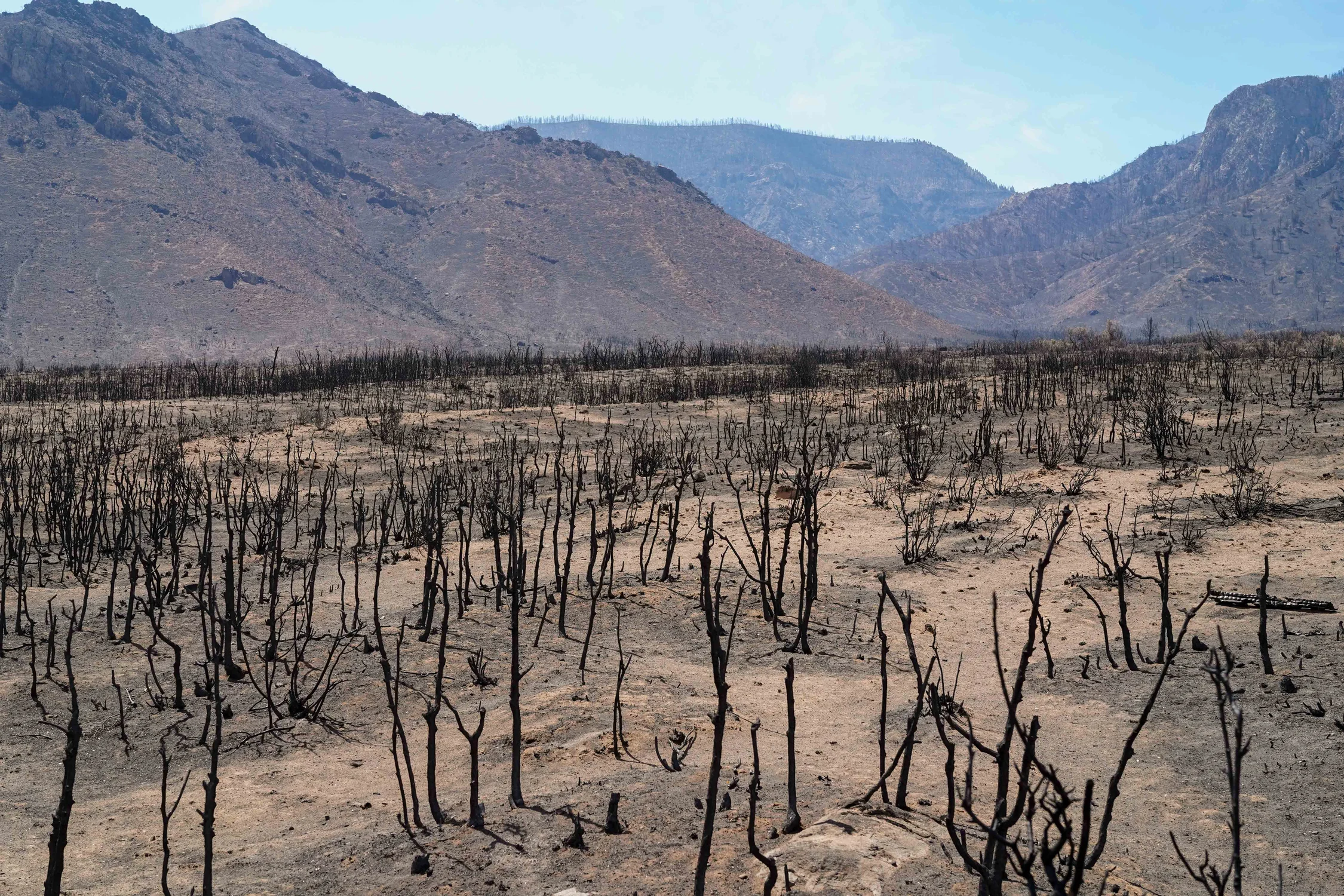 The valley near Casto’s ranch. Beyond the far ridge is where the family cow camp on the Uncompahgre used to be. Photo: Joshua Vorse, Rocky Mountain PBS