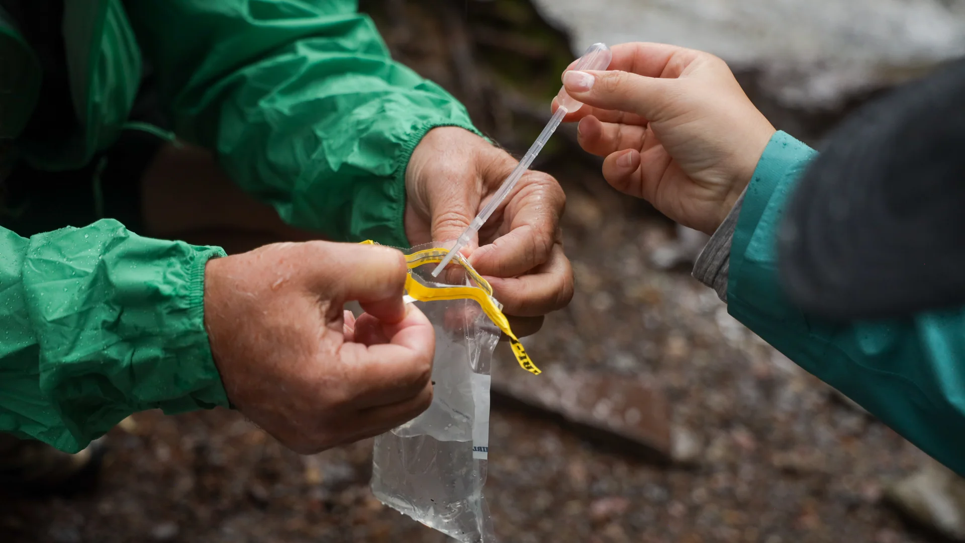 A creek water sample.