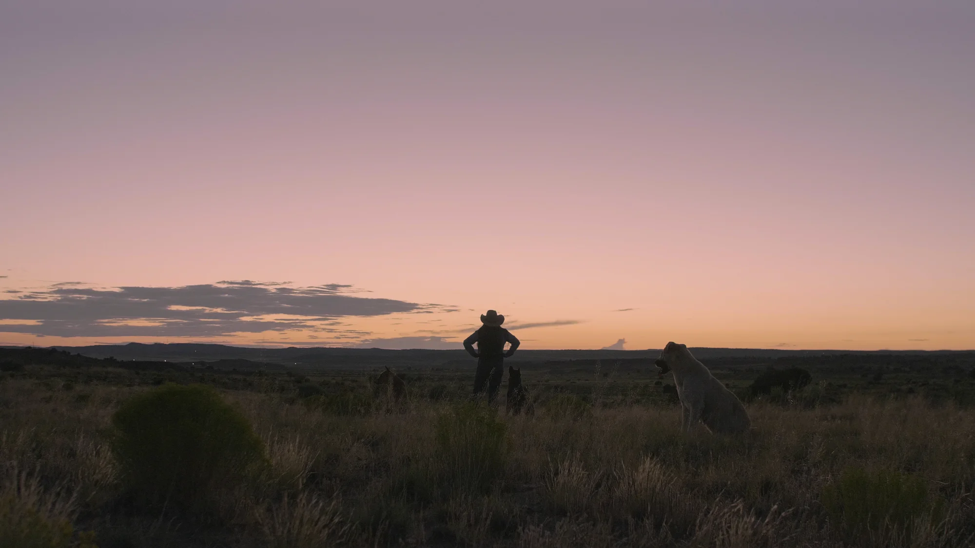 Kristal Puente looking at the sunset. Photo: Ziyi Xu, Rocky Mountain PBS