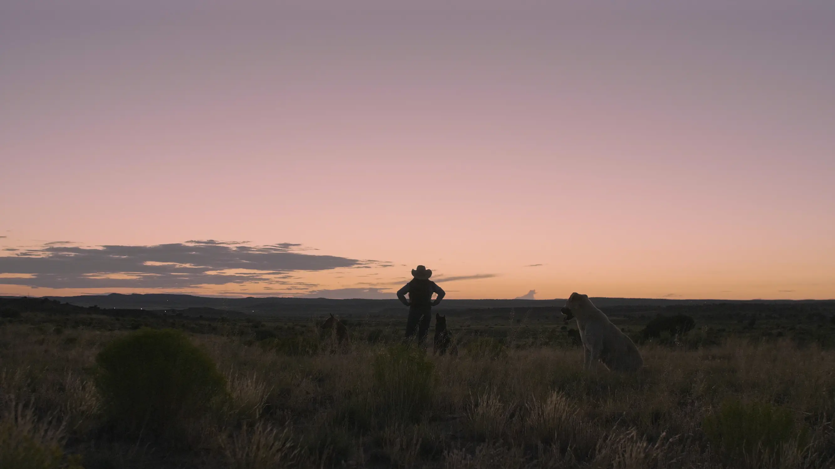 Kristal Puente looking at the sunset. Photo: Ziyi Xu, Rocky Mountain PBS
