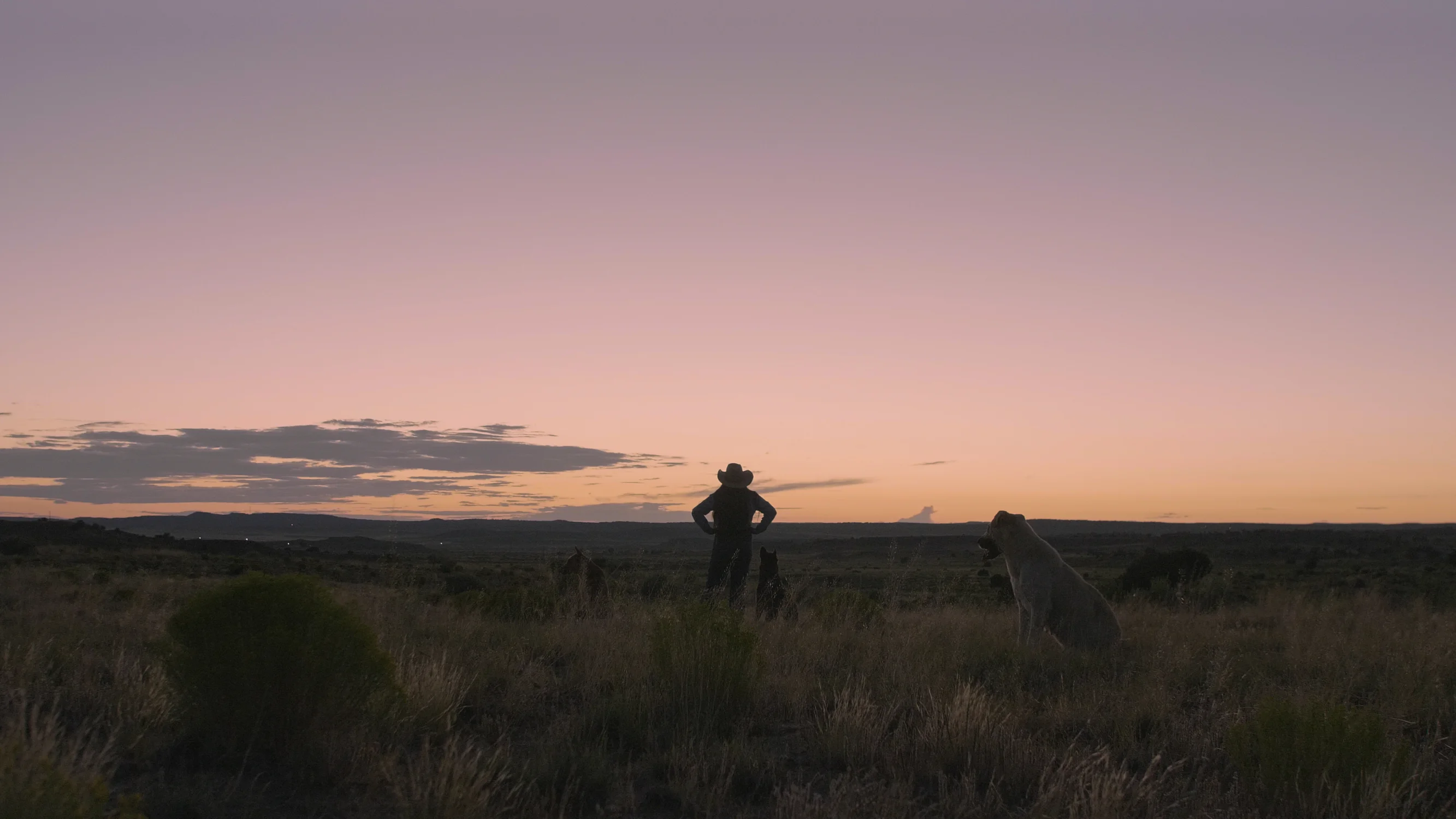 Kristal Puente looking at the sunset. Photo: Ziyi Xu, Rocky Mountain PBS