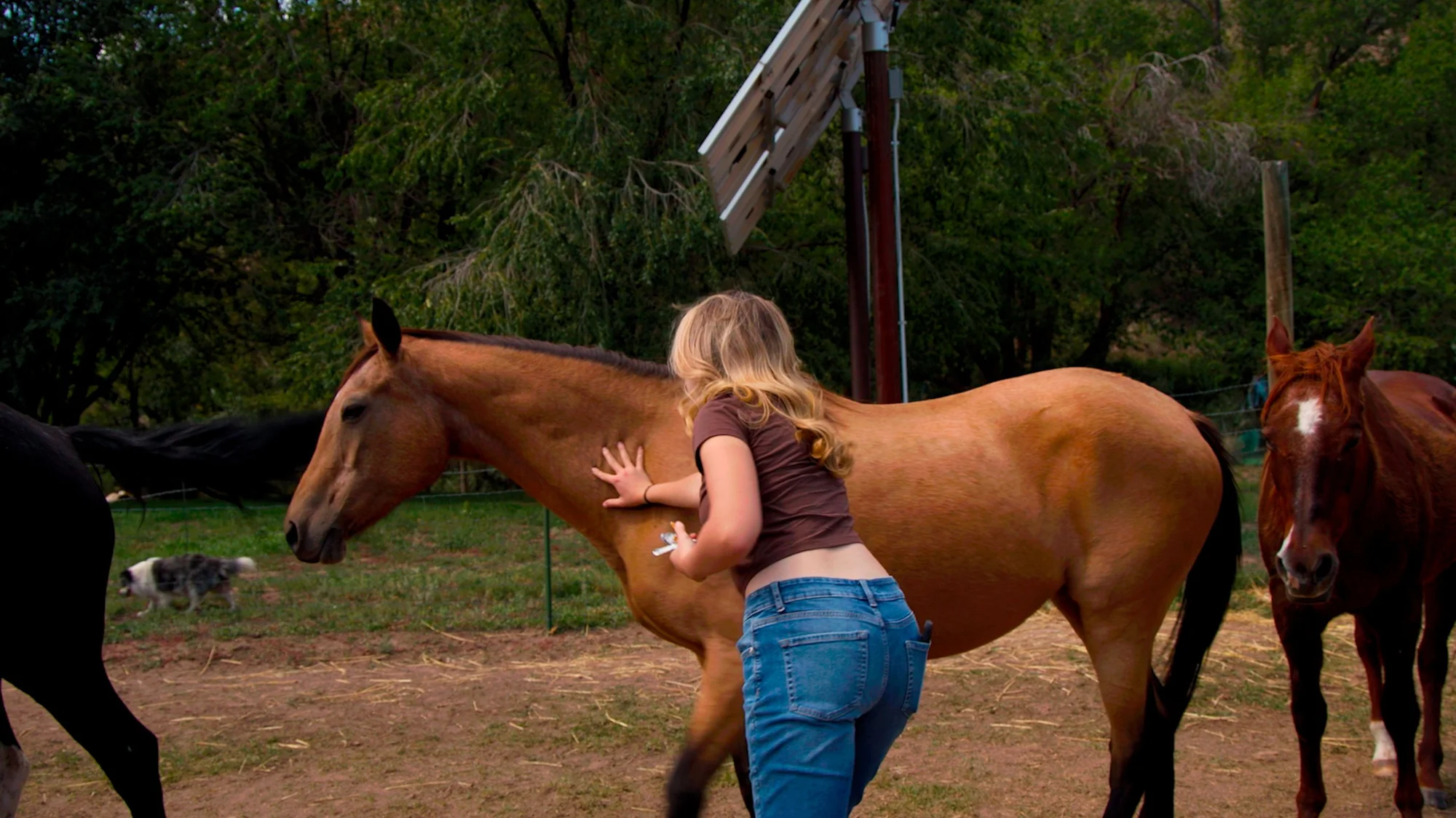 Eva Davignon pushing a horse away. Photo: Ziyi Xu, Rocky Mountain PBS