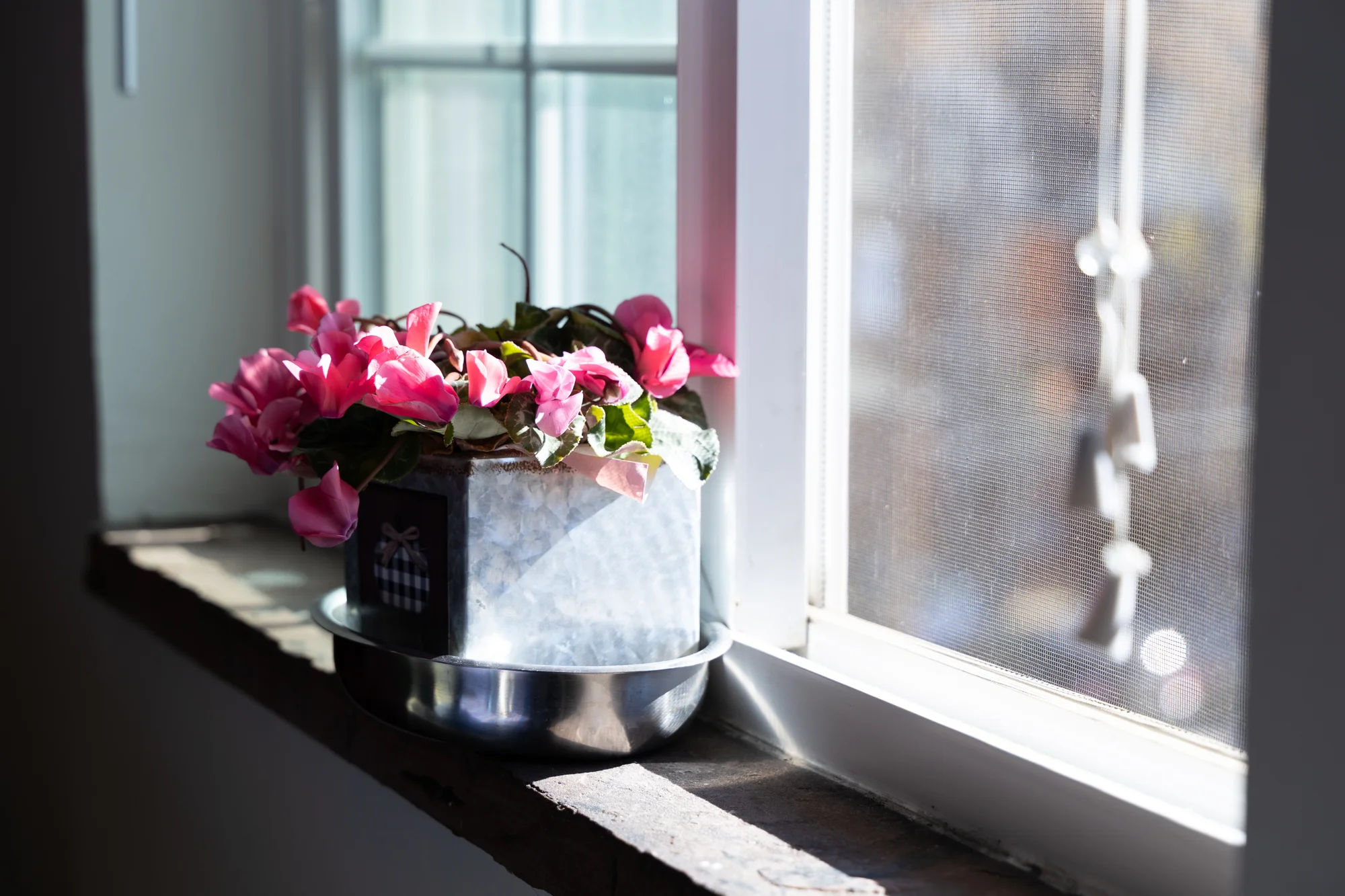 Inside the one-bedroom Denver apartment where Hedayat Yar and his family are living. Photo: Andrea Kramar, Rocky Mountain PBS