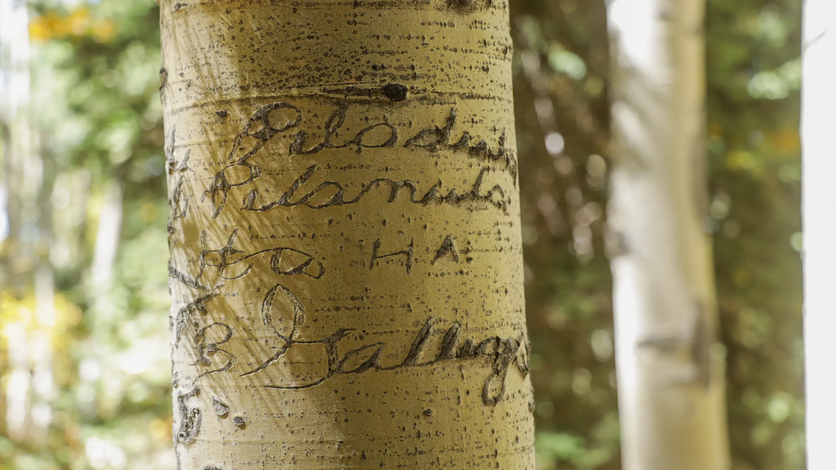 Writing in cursive. Photo: Ziyi Xu, Rocky Mountain PBS